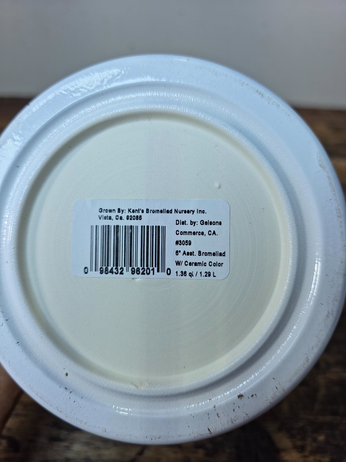 German-Made White Ceramic Planter Pot – Distributed by Gelsons
