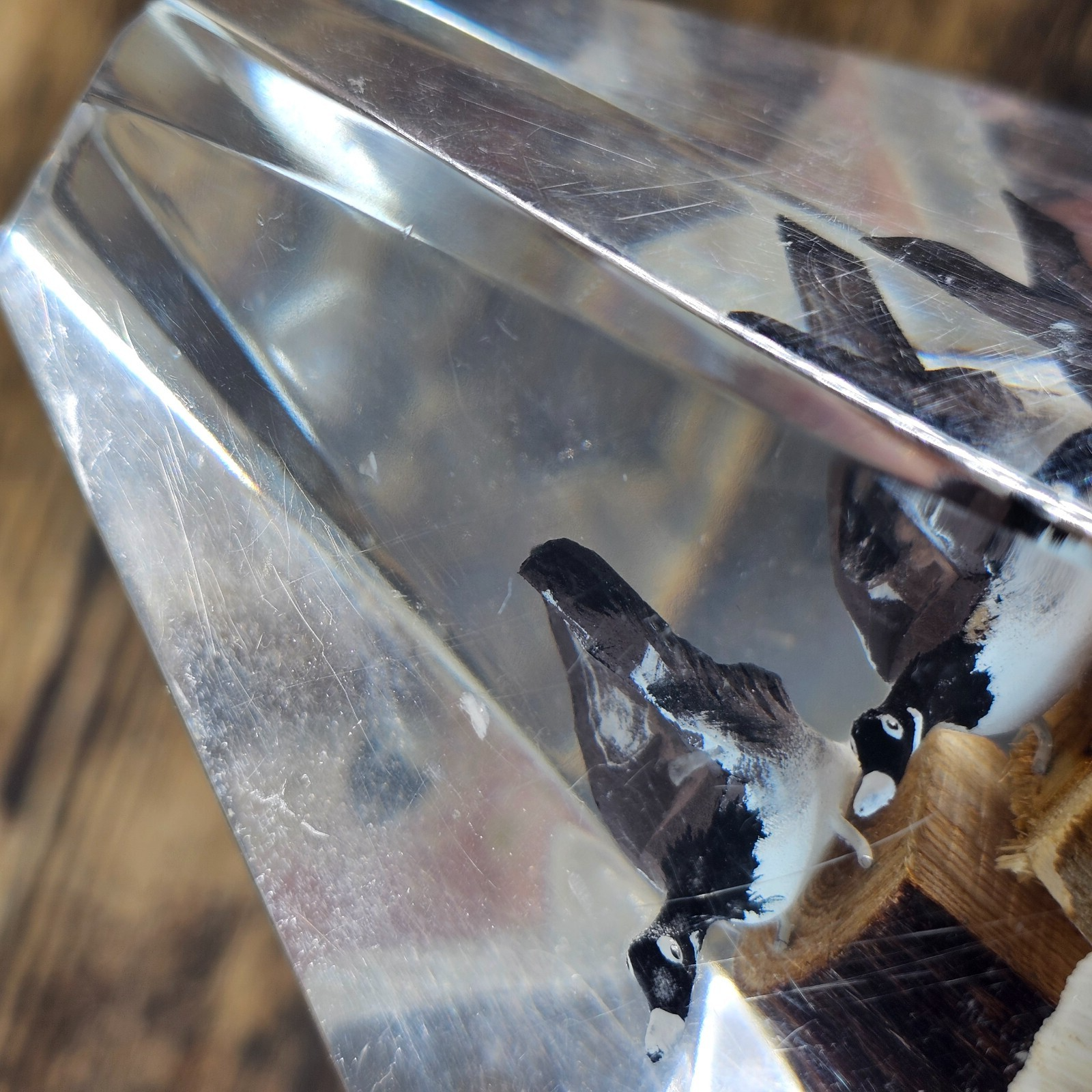 Vintage Lucite Canadian Geese Duck Paperweight