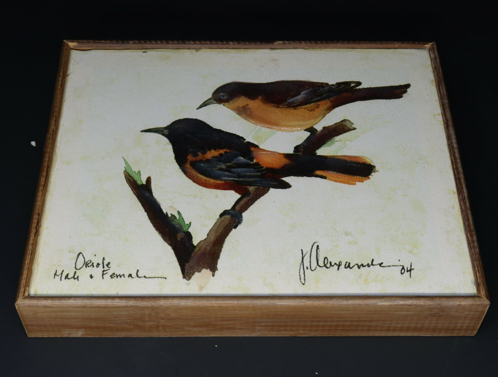 Oriole Male & Femal Shabby Chic Wall Art 10.5" x 8.5"