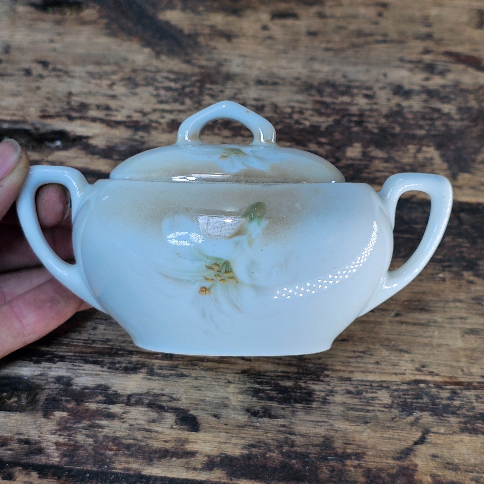 Antique RS Germany Creamer & Sugar Bowl Set - White Lilies, c. 1910s-20s