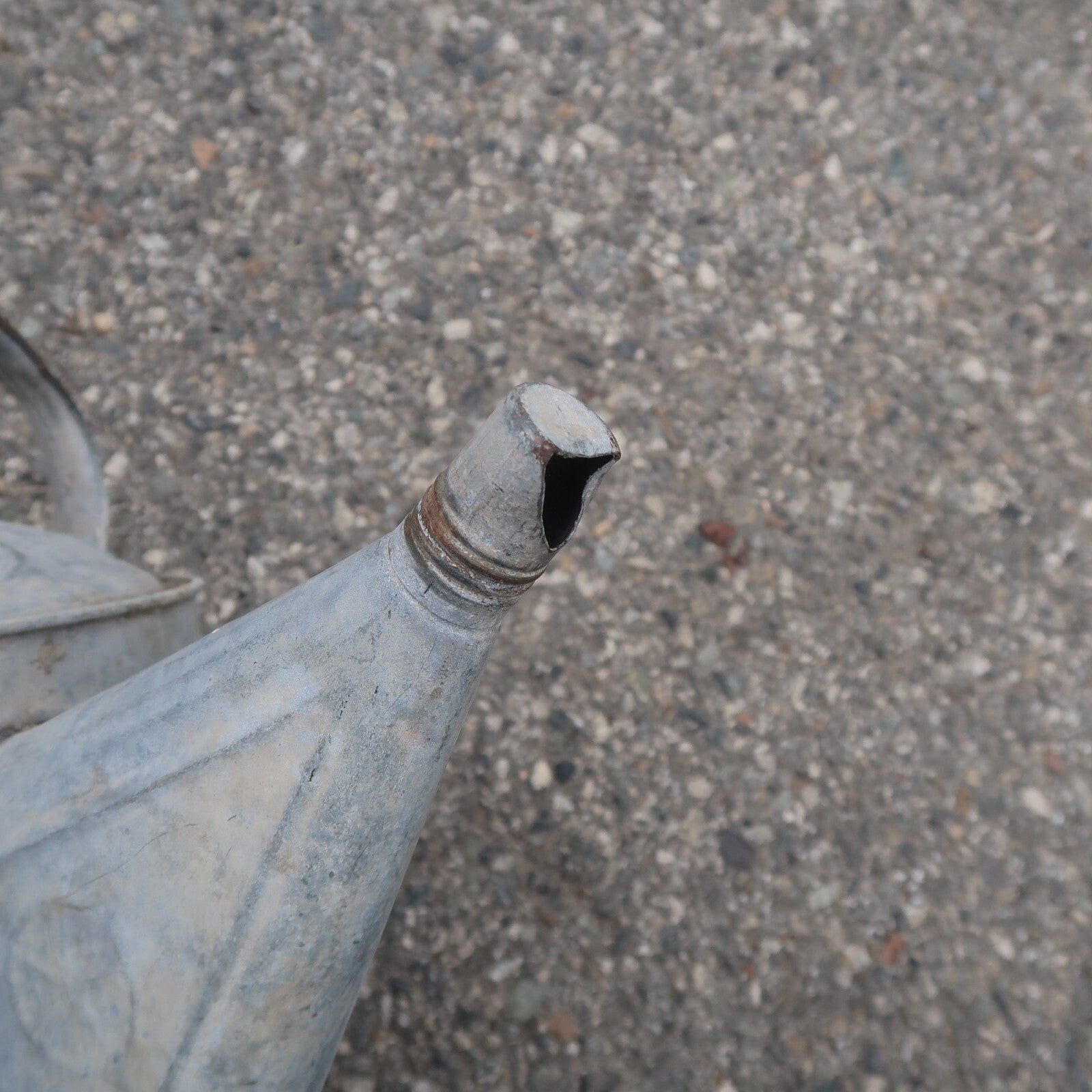 Vintage Savory Co. Galvanized Watering Can 2 Gal