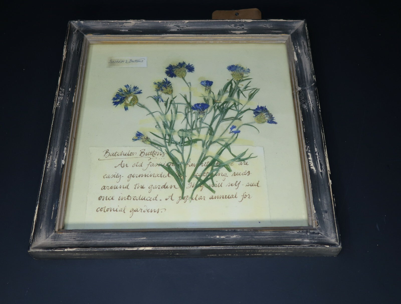 Shabby Chic Wall Art 9.5" x 9.5"