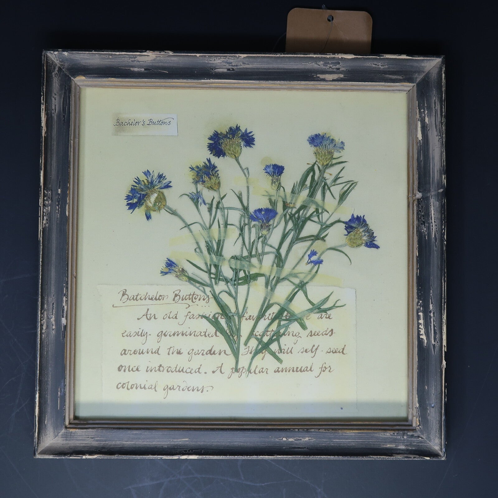 Shabby Chic Wall Art 9.5" x 9.5"