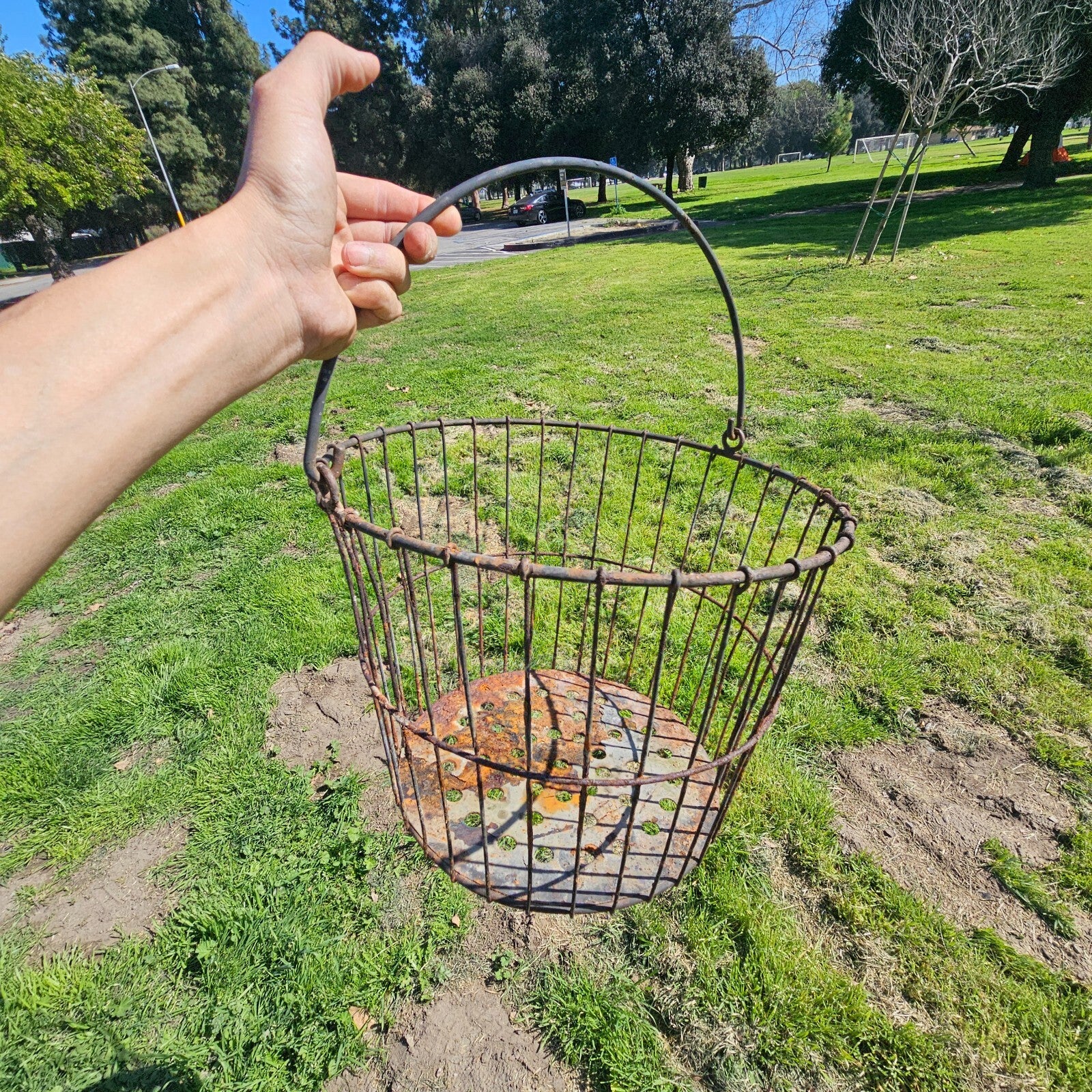 Vintage Rusty Wire Gathering Basket with Perforated Metal Base 15"Diam x 12"H