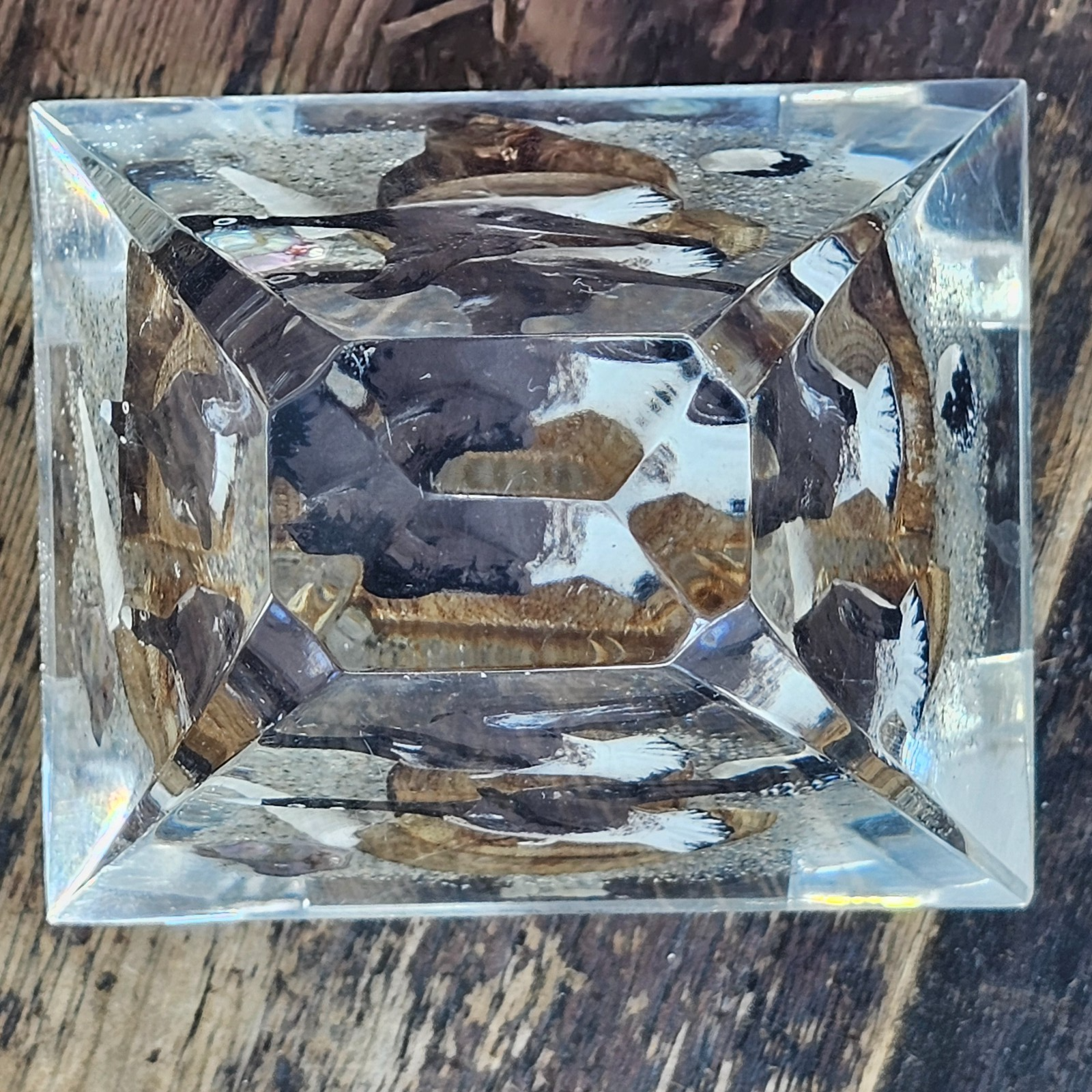 Vintage Lucite Canadian Geese Duck Paperweight