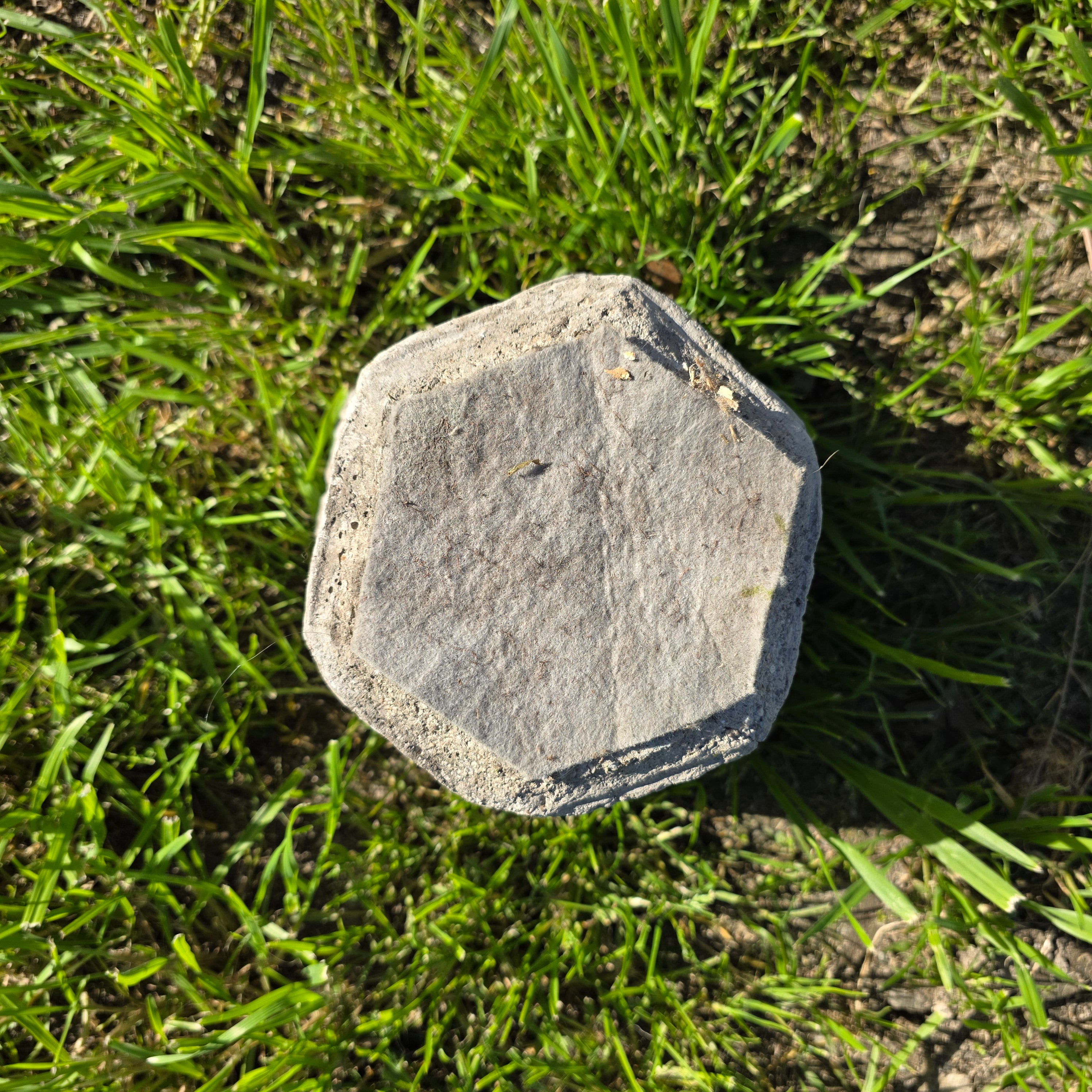 Vintage Concrete Hexagon Planter with Floral Relief - Small Heavy-Duty Pot