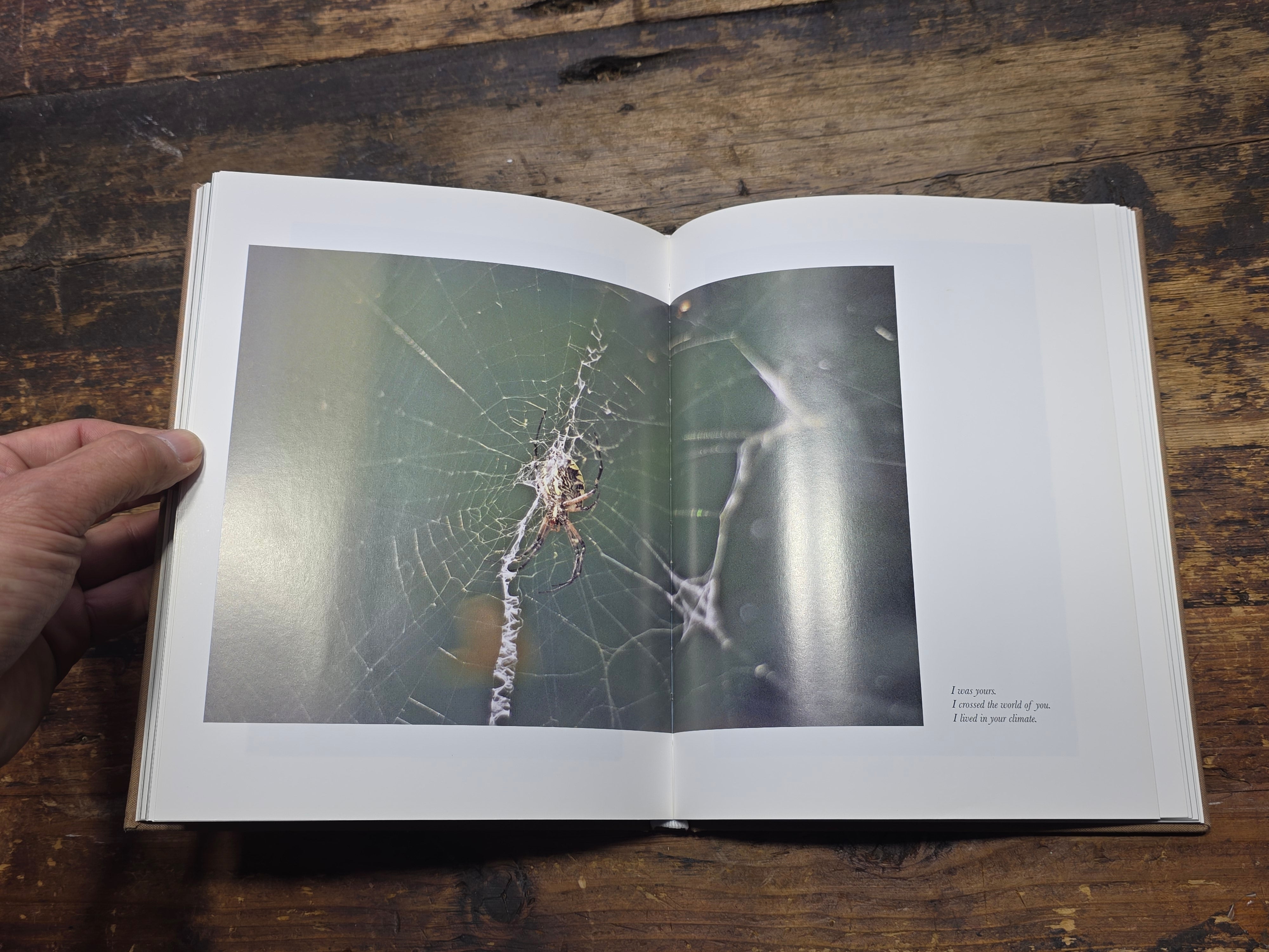 The Young Earth Jordan Sullivan 2013 First Edition Hardcover Photo Book Iceland