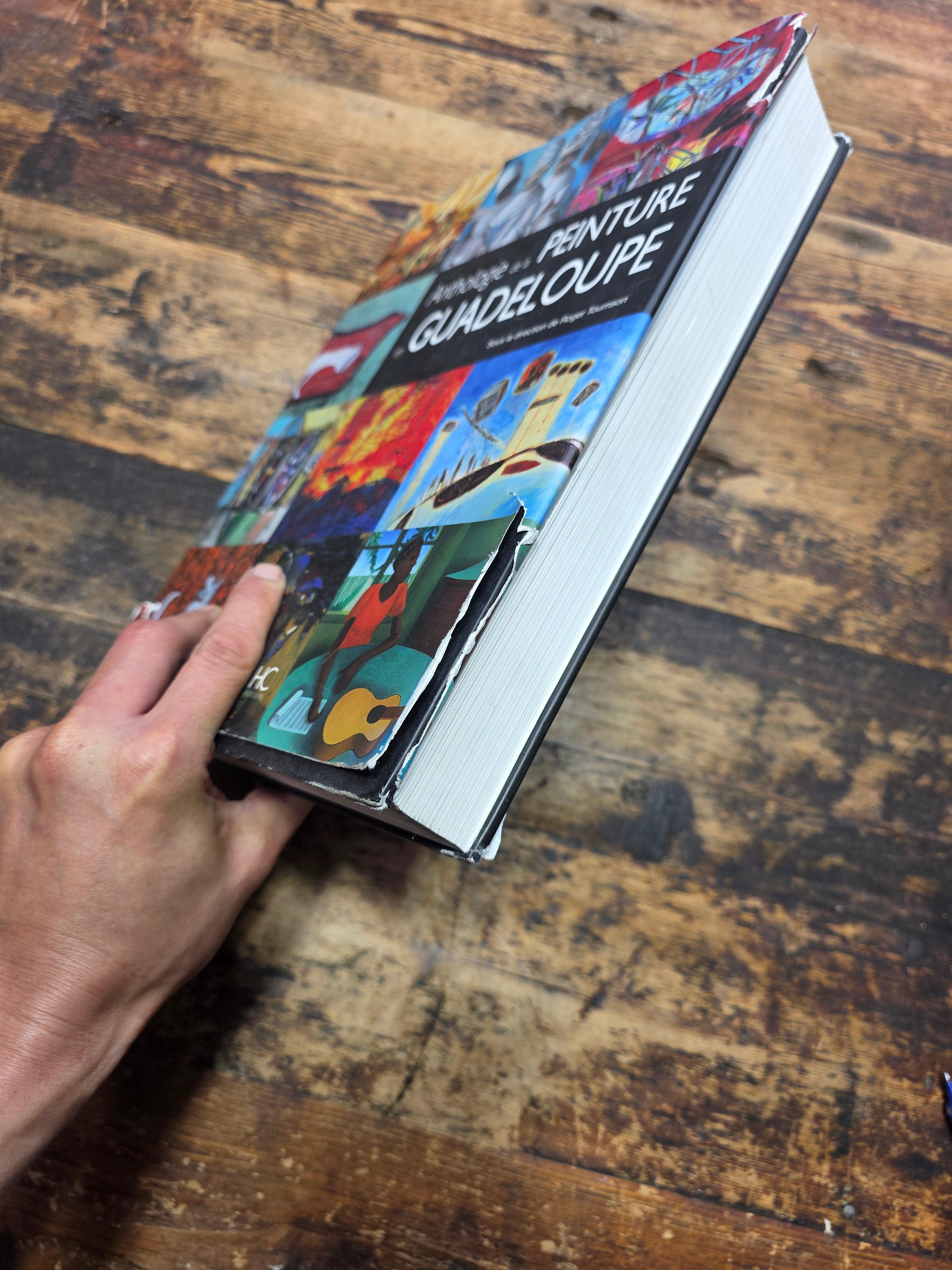 Anthologie de la Peinture en Guadeloupe 2009 Hardcover Art Book French Caribbean