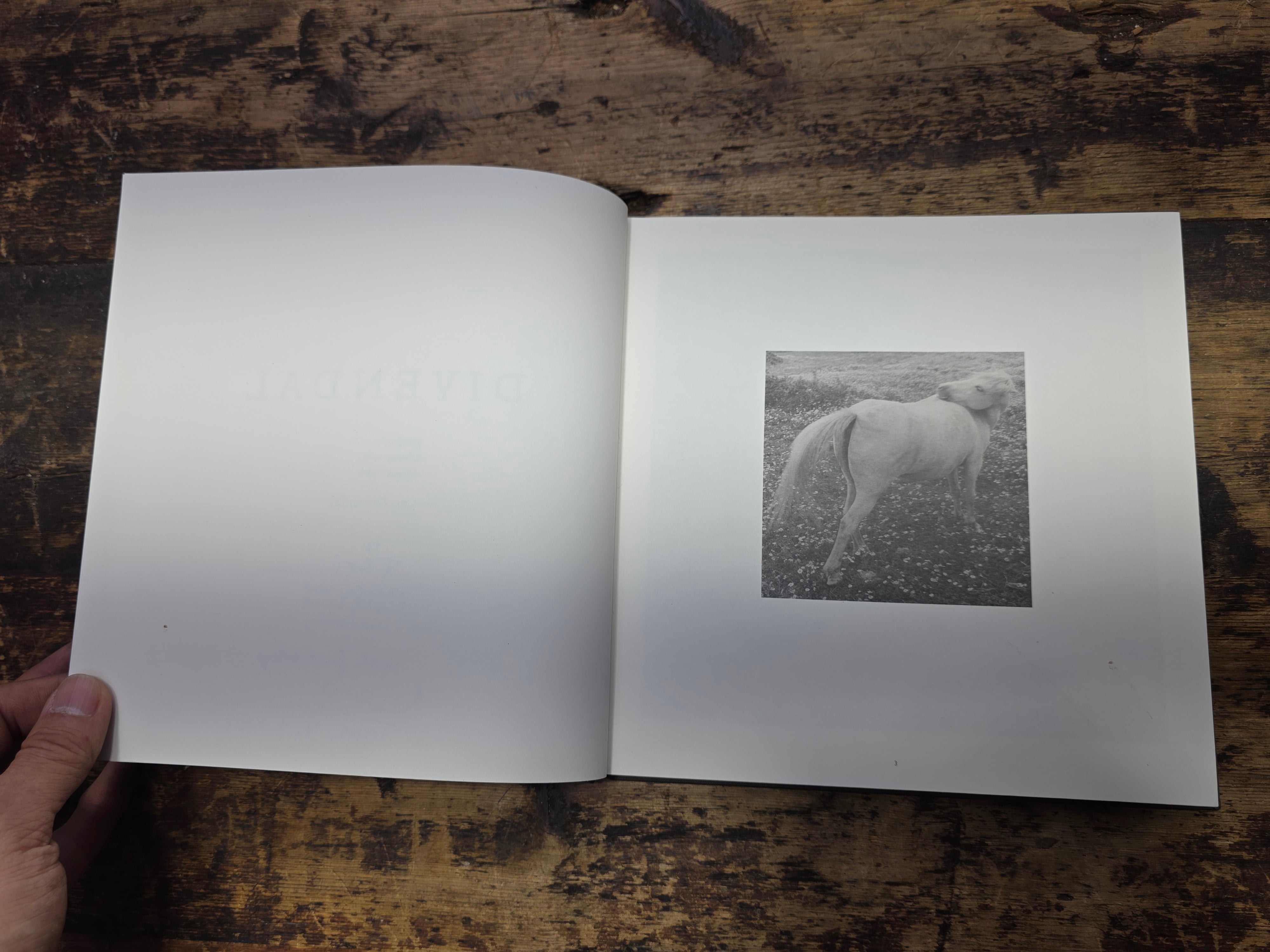Divendal Leo Divendal 1997 Signed First Edition Hardcover Photo Book Monochrome