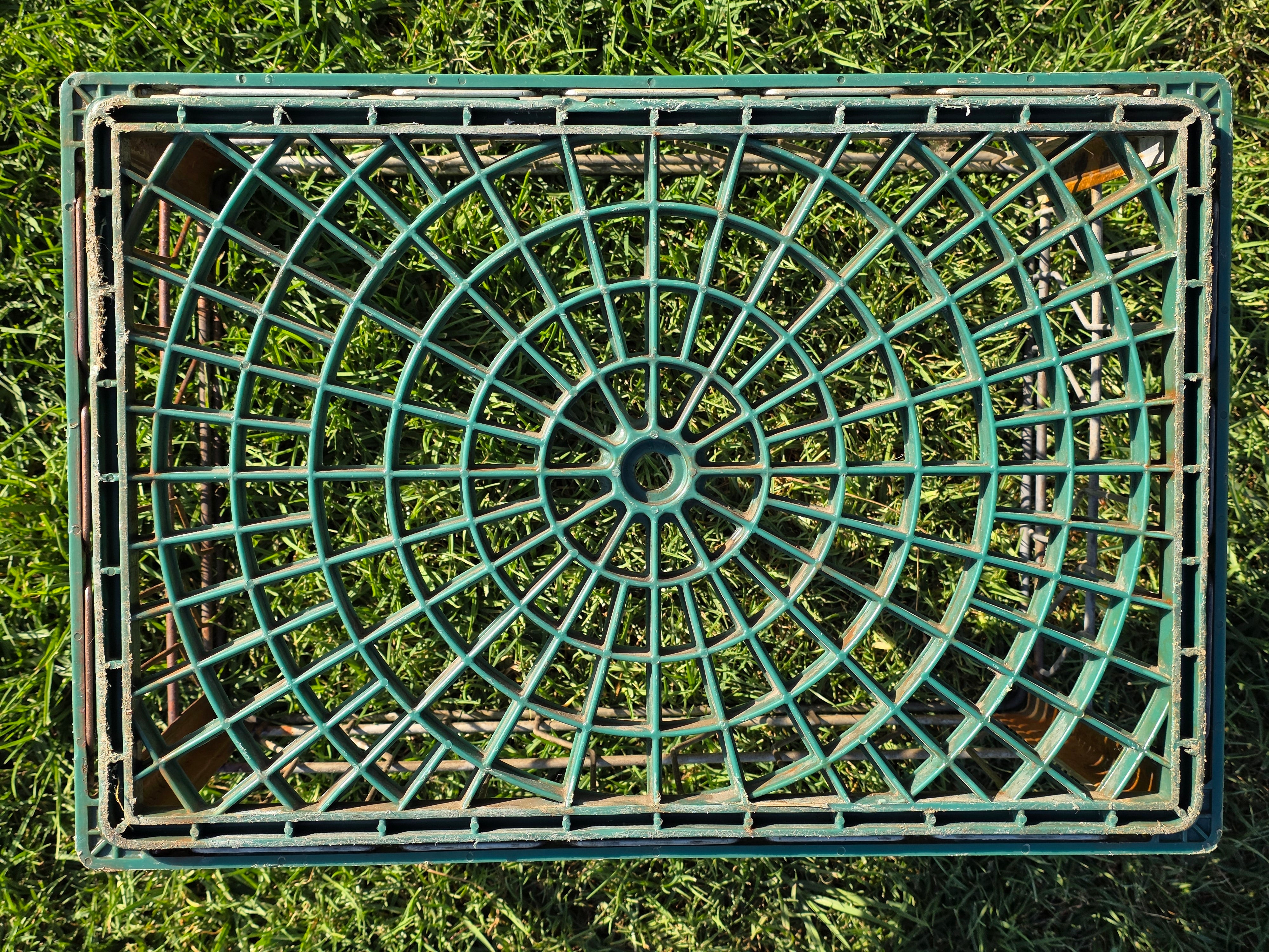 Vintage Alta-Dena Dairy Milk Crate 1976 Metal Wire Green Plastic Bottom