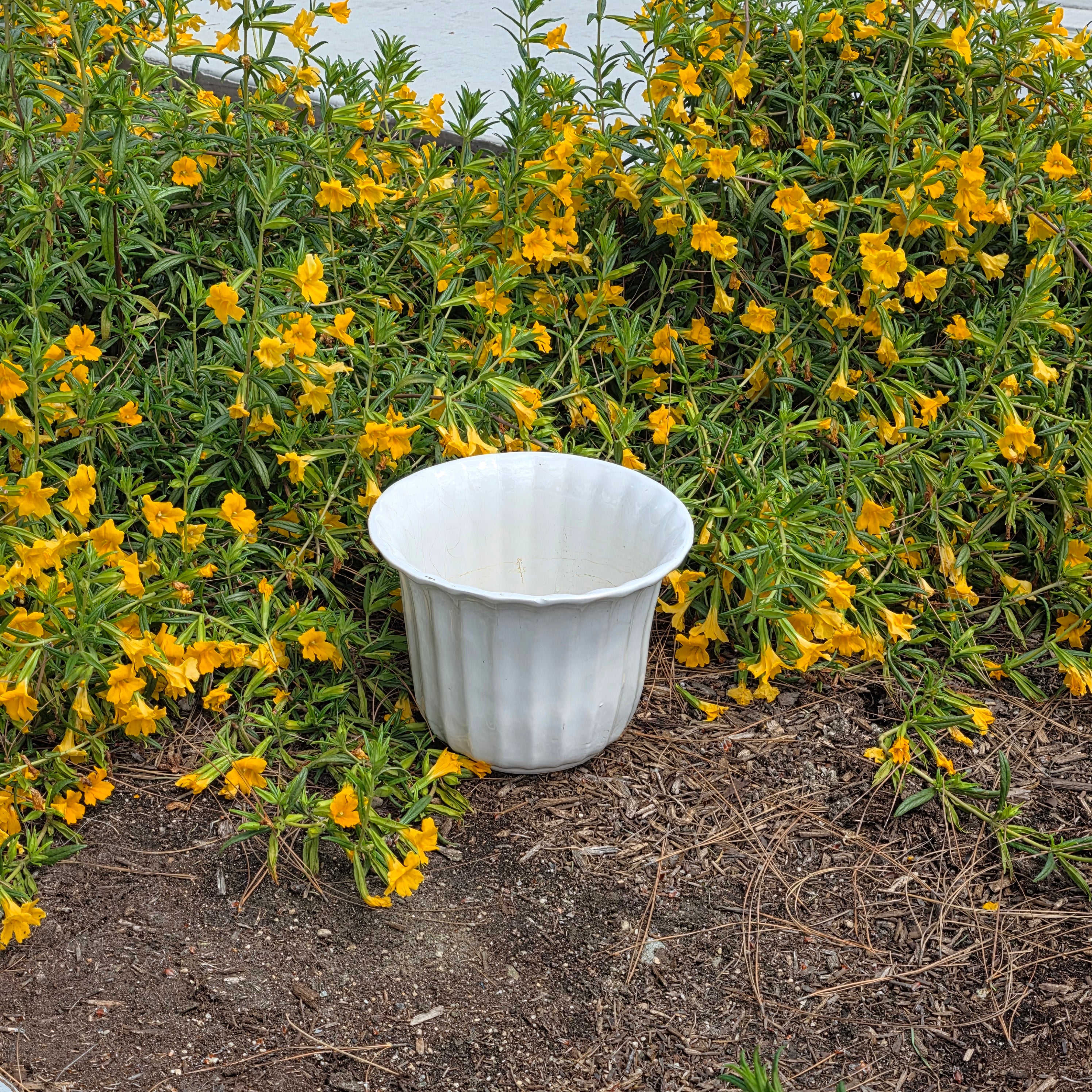 Vintage Maurice Ceramics USA 10 MCM California Pottery White Fluted Planter Bowl