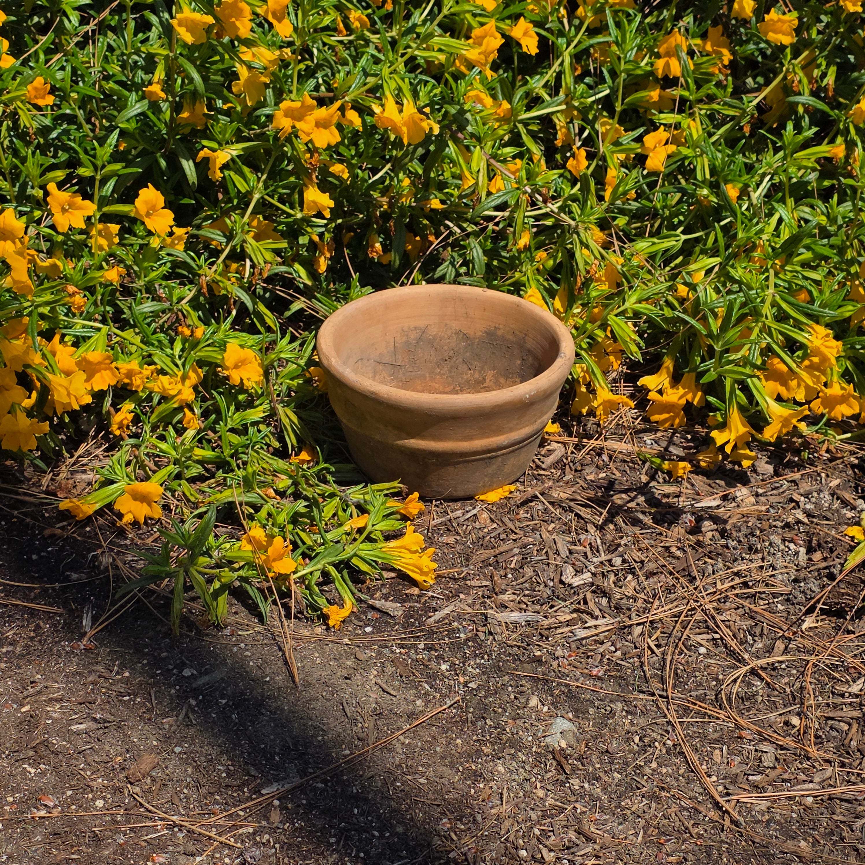 Vintage Italian Terracotta Planter Pot 7.5" Heavy Small Aged Patina