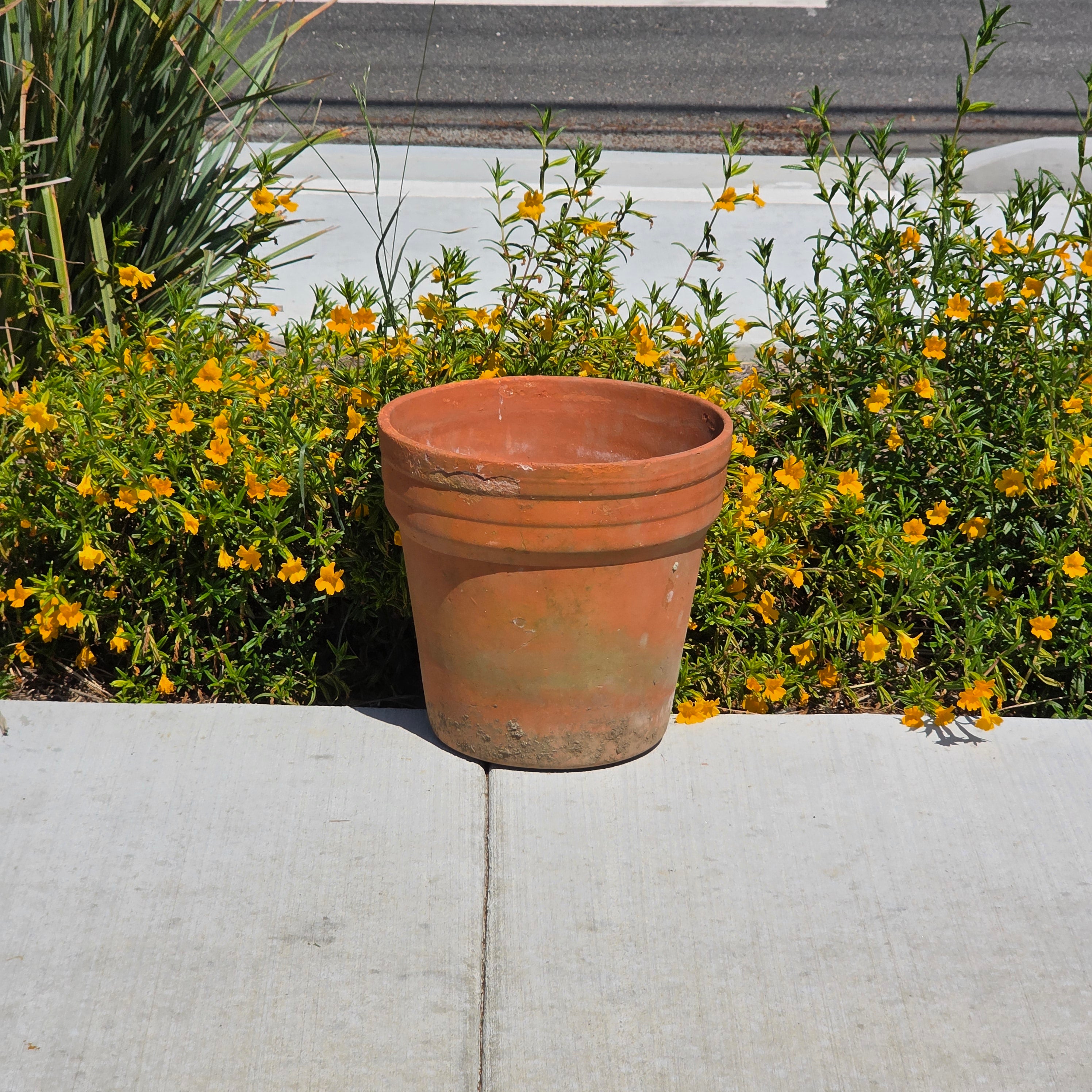 Vintage Terracotta Planter Large Aged Moss Patina Clay Pot Rustic Garden 15 x 15