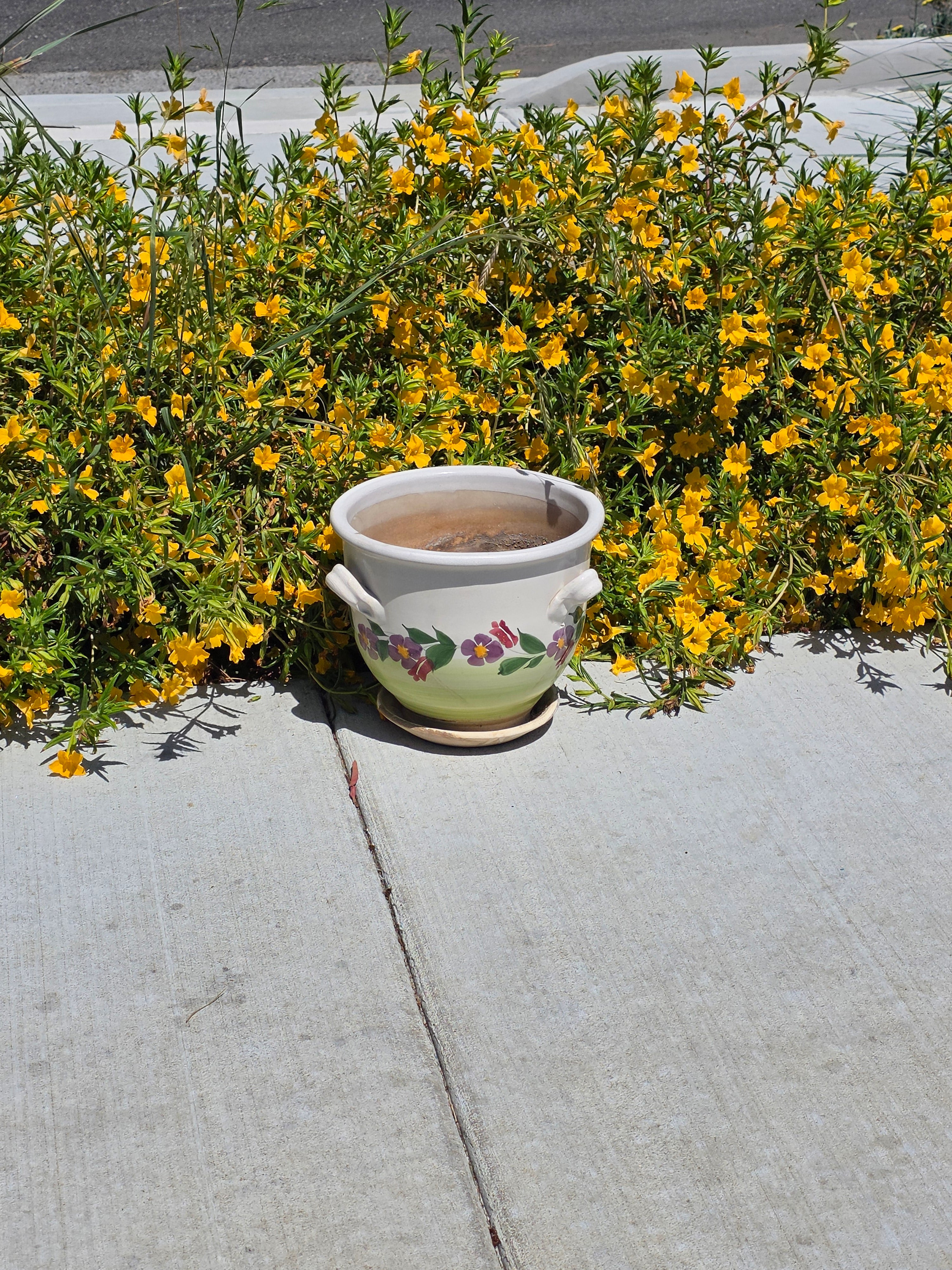 Vintage Majolica Ceramic Planter Attached Saucer Hanging Macrame Rope Pot