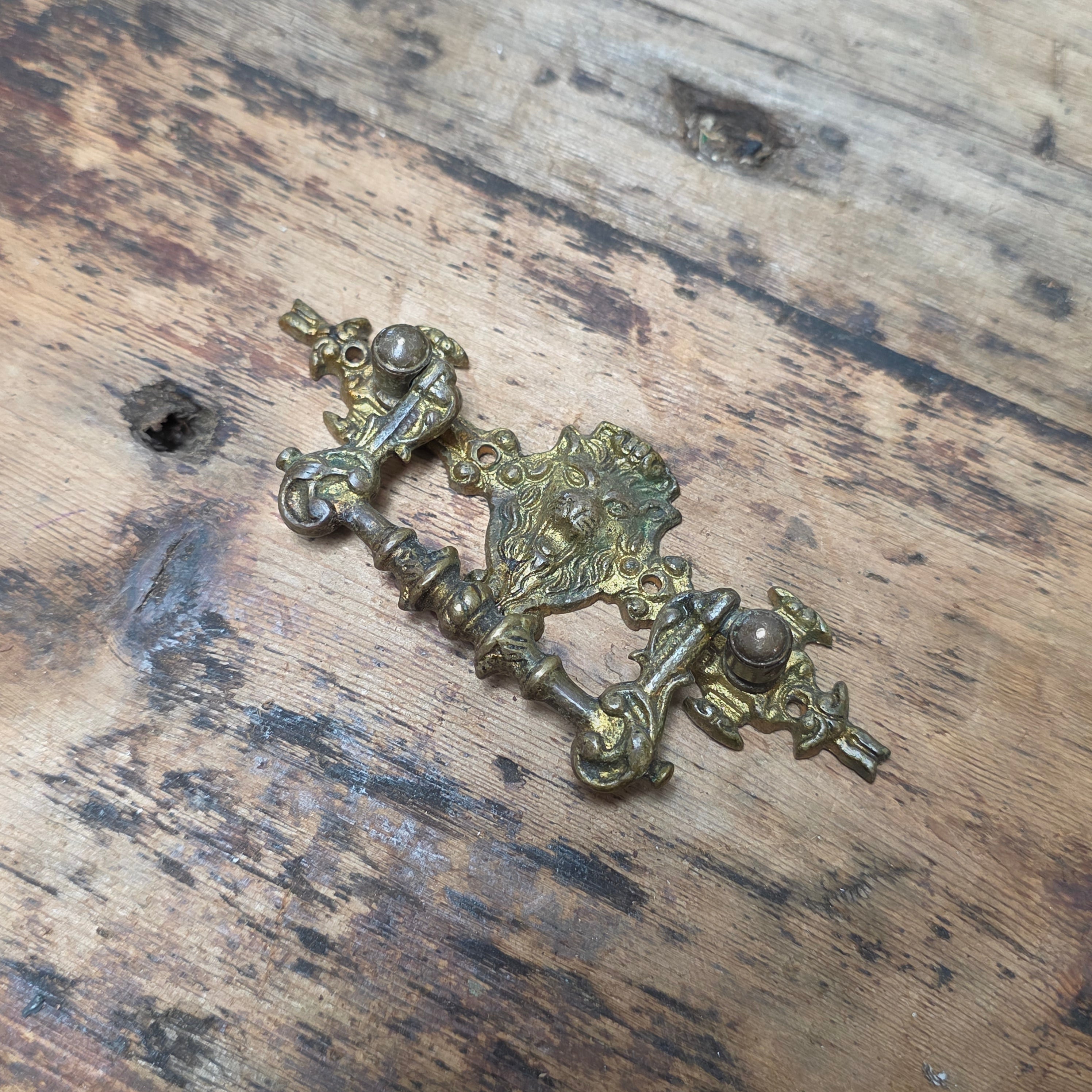 Vintage Brass Lion Head Bail Pull Drawer Handle Knob Mid Century Hardware
