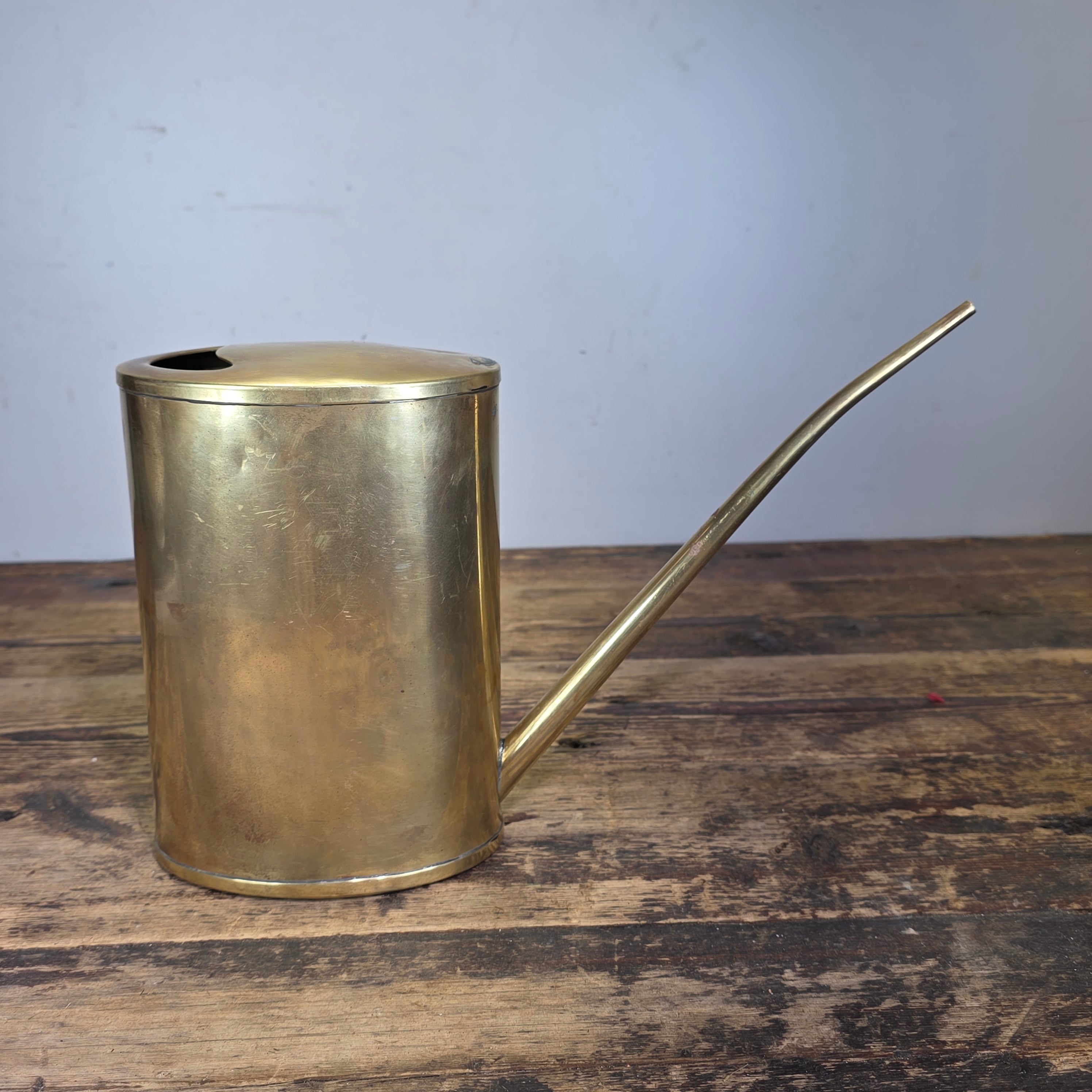 Vintage Brass Oiler Long Spout Indoor Watering Can Steampunk Planter No Handle