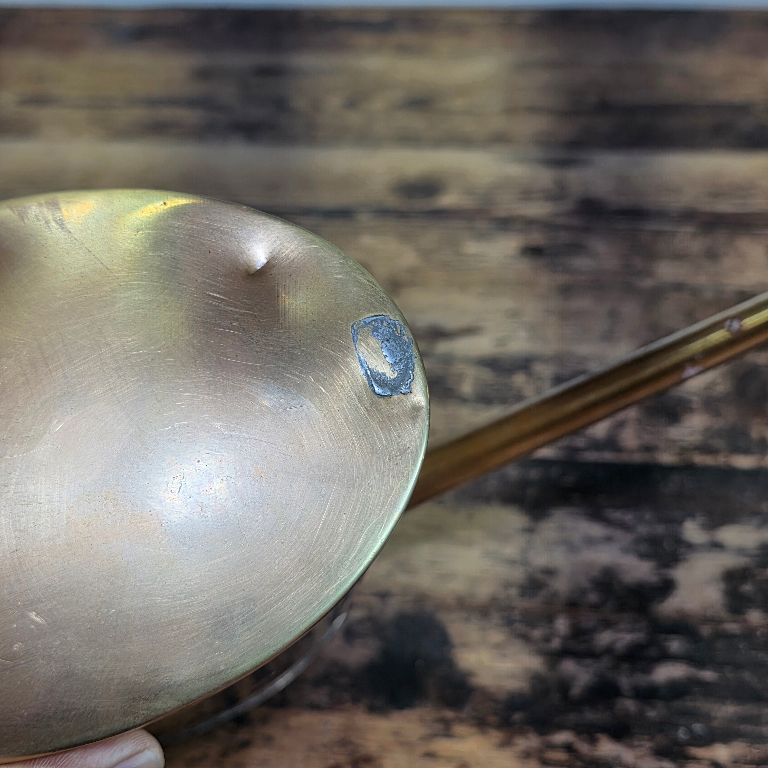 Vintage Brass Oiler Long Spout Indoor Watering Can Steampunk Planter No Handle