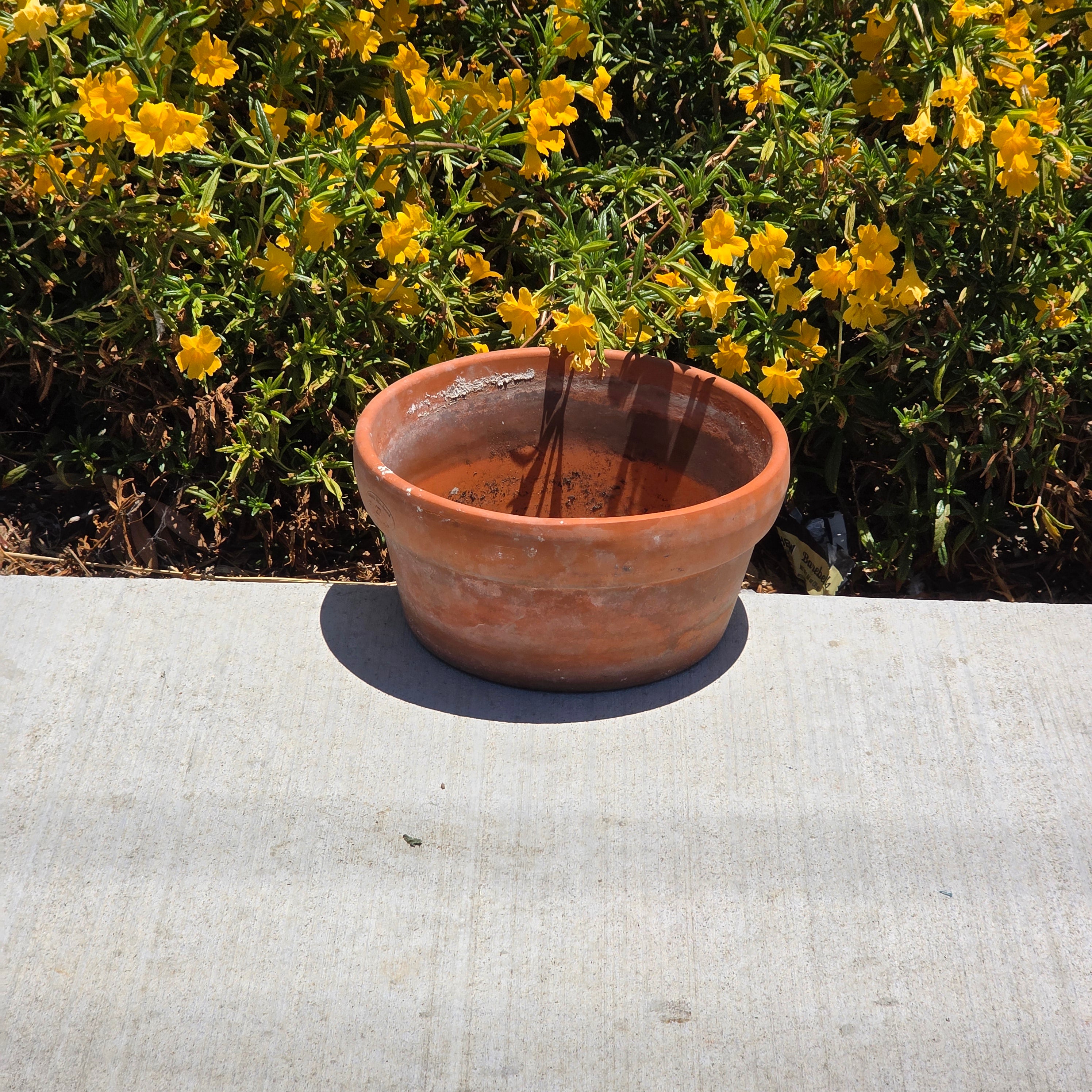 Vintage Vaserie Trevigiane Terracotta Planter Pot Rolled Rim Italy 10.5" Rustic