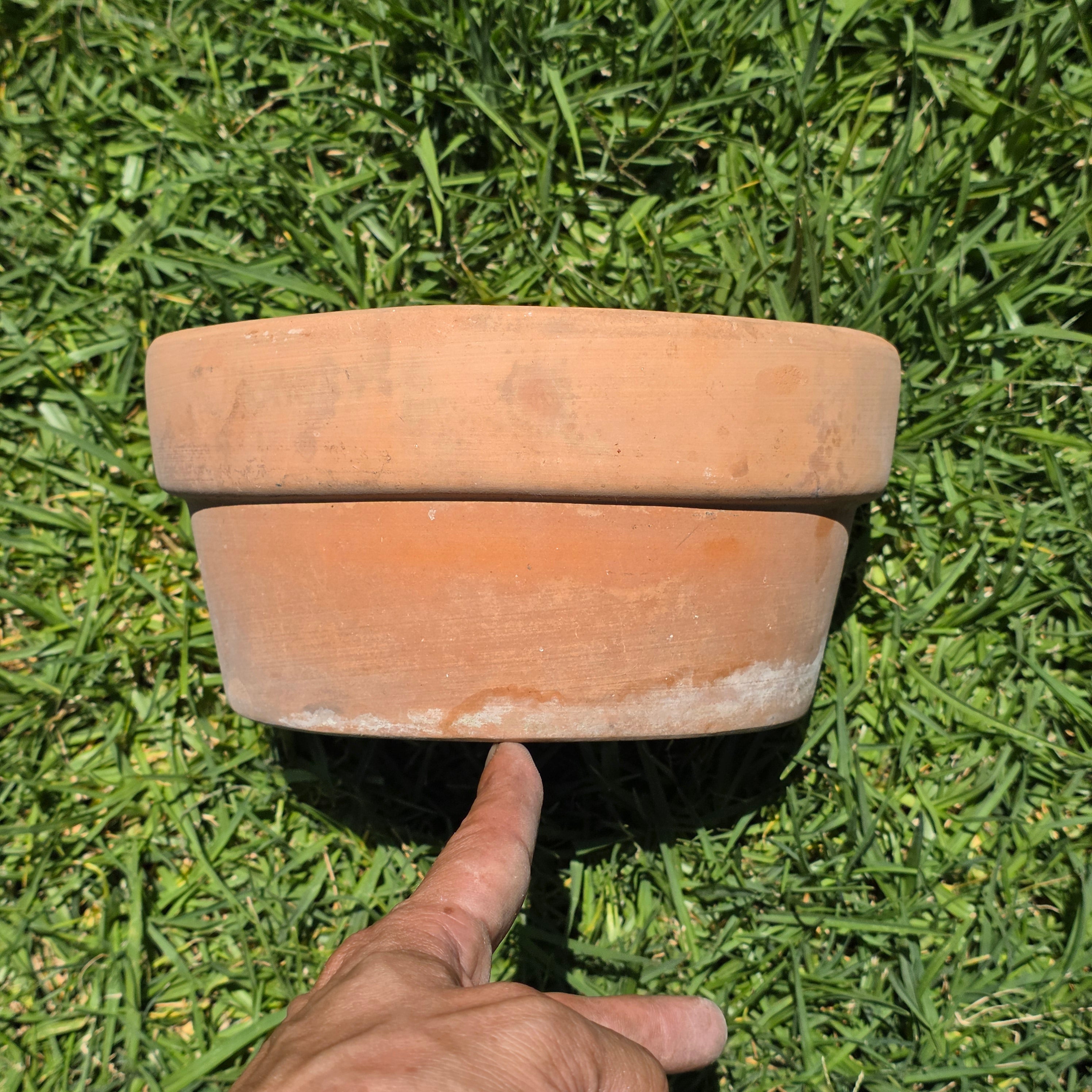 Vintage Terracotta Clay Planter Pot Shallow Bulb Pan Rustic Succulent 8"
