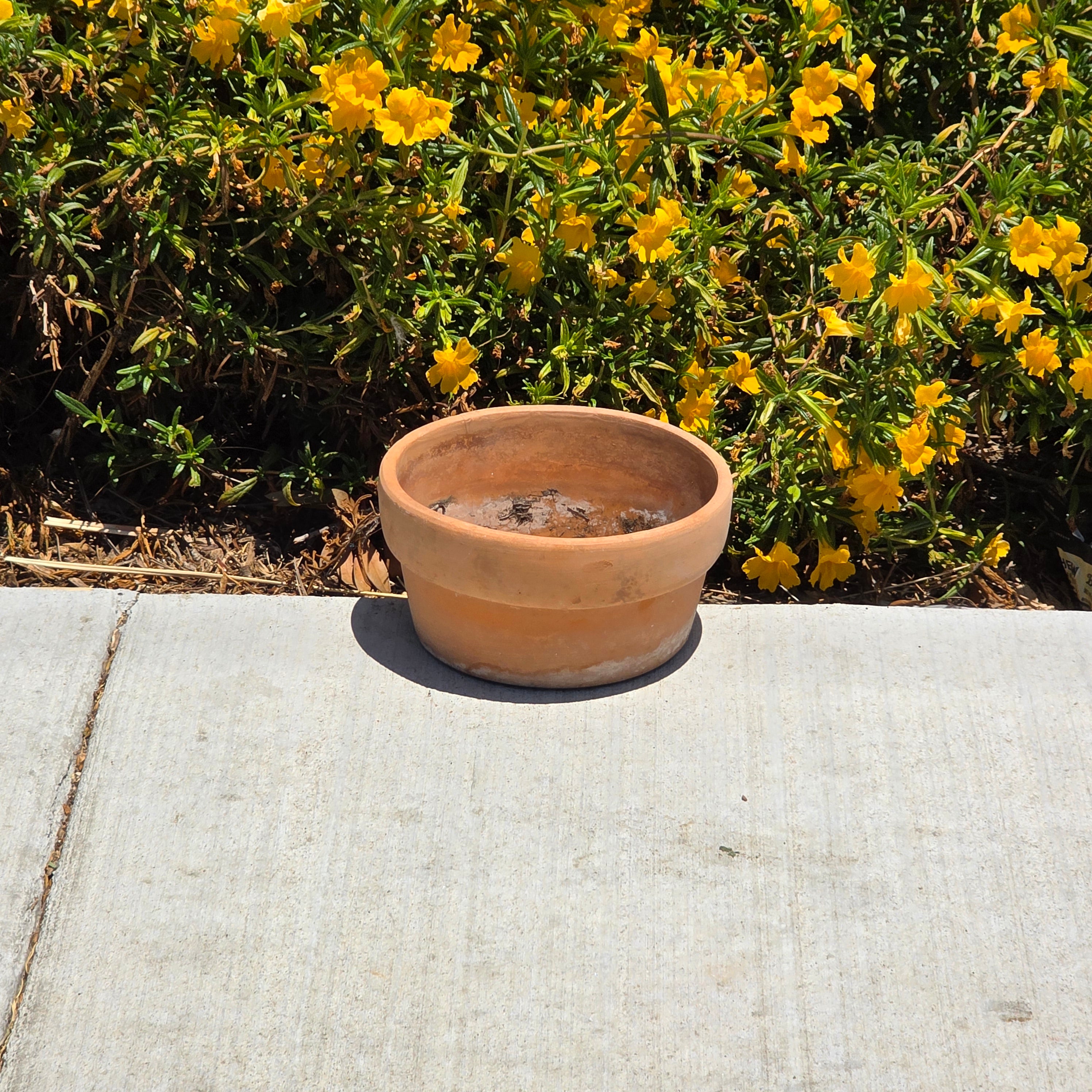 Vintage Terracotta Clay Planter Pot Shallow Bulb Pan Rustic Succulent 8"
