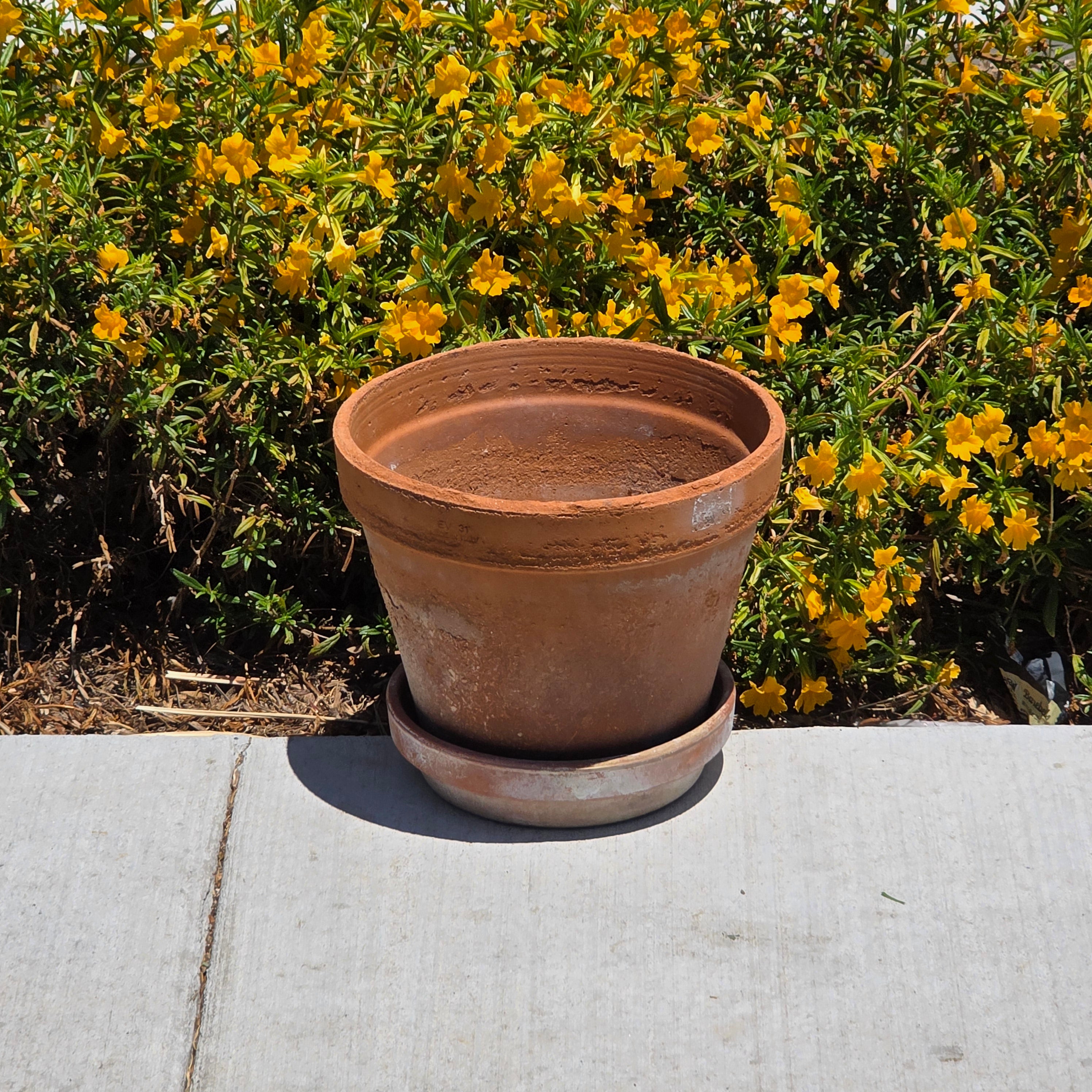 Share Vintage Italian Terracotta Planter Pot Saucer Large EV31 Rustic Shabby Chic