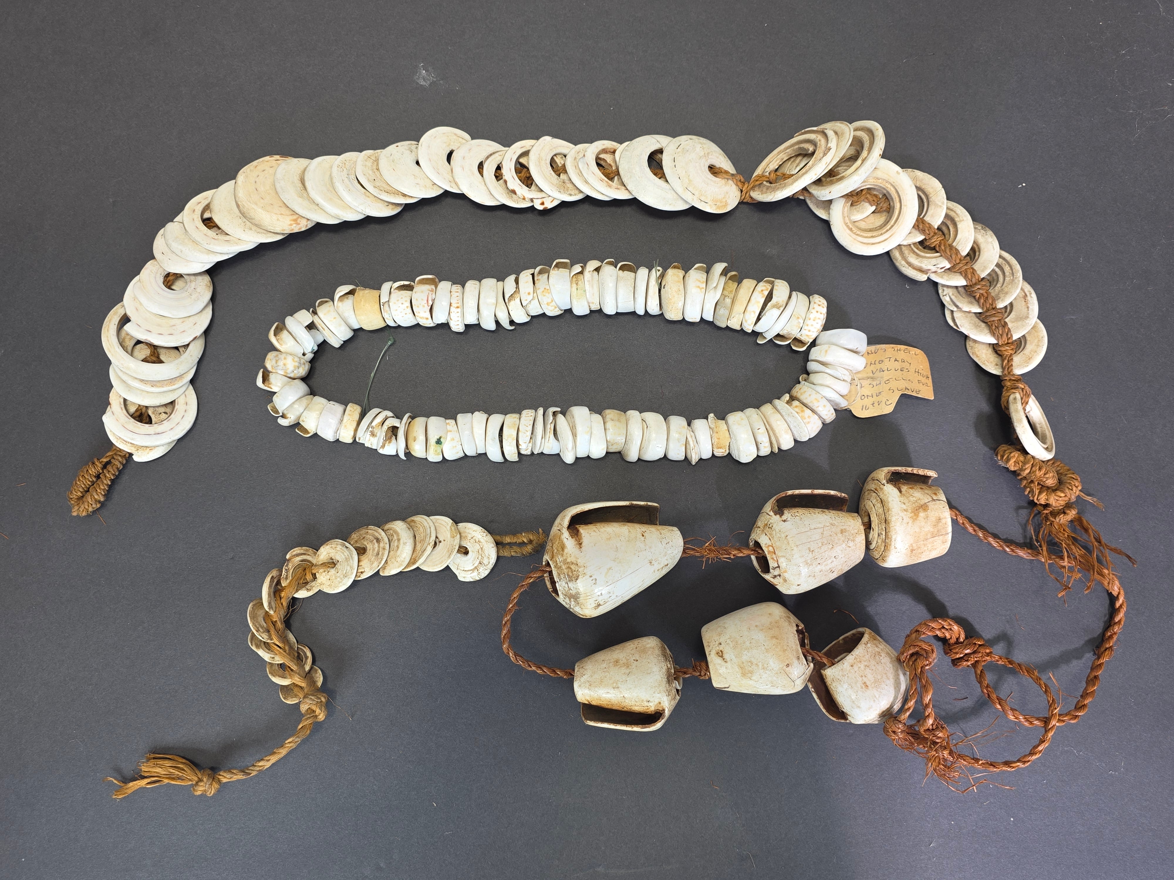 Antique 1880s-1920s Papua New Guinea Shell Currency Necklace Lot Kula Conus Naga