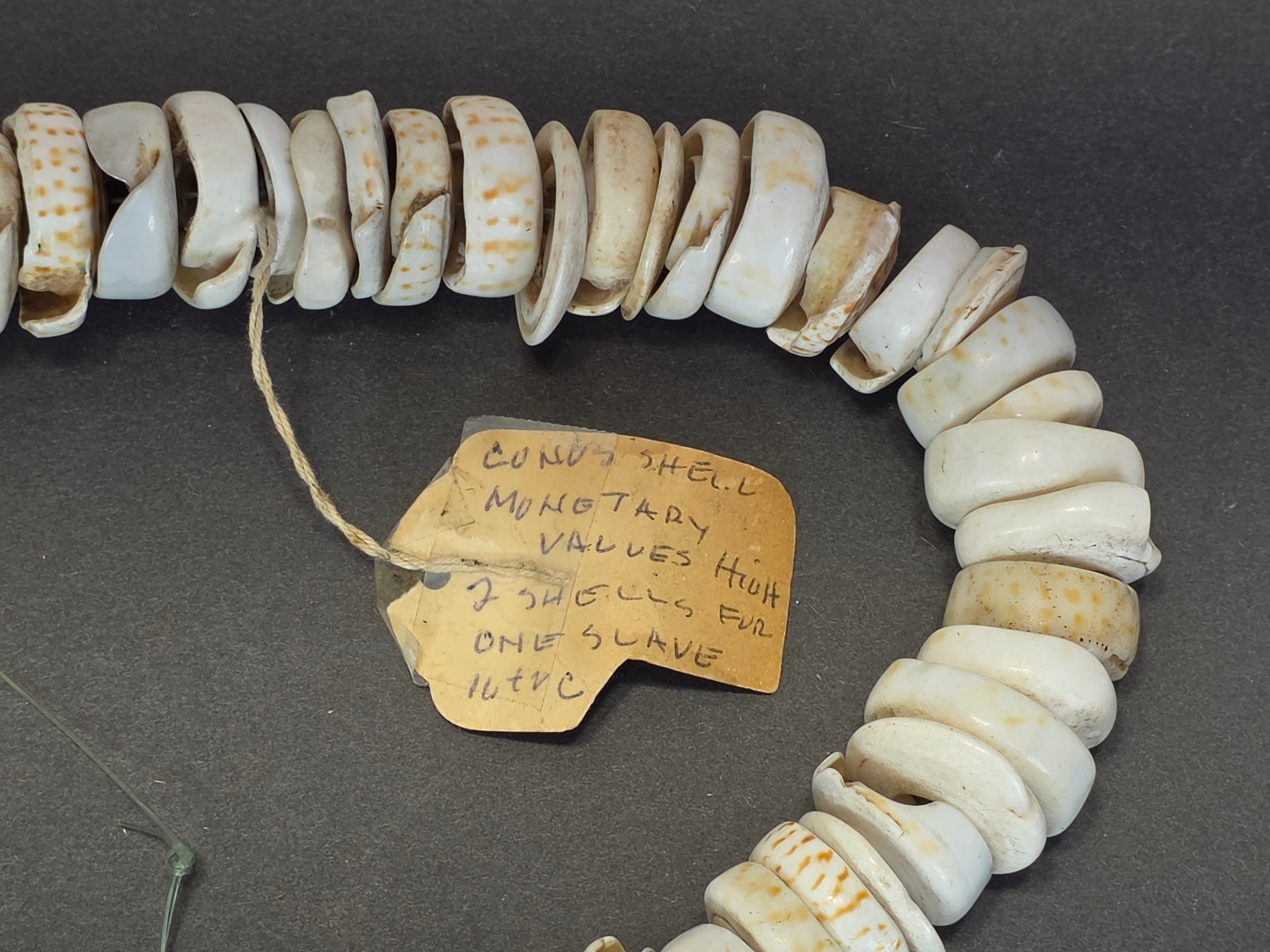Antique 1880s-1920s Papua New Guinea Shell Currency Necklace Lot Kula Conus Naga