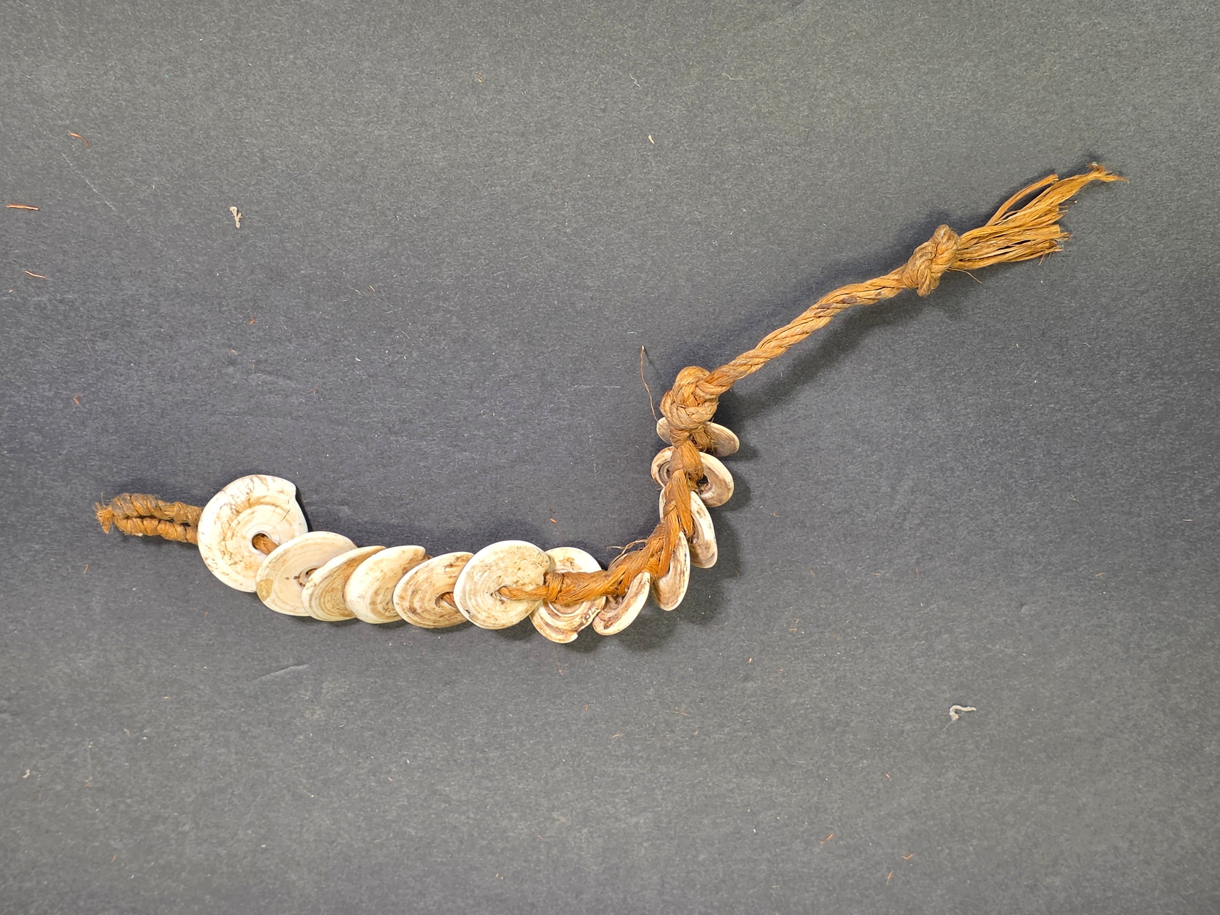 Antique 1880s-1920s Papua New Guinea Shell Currency Necklace Lot Kula Conus Naga