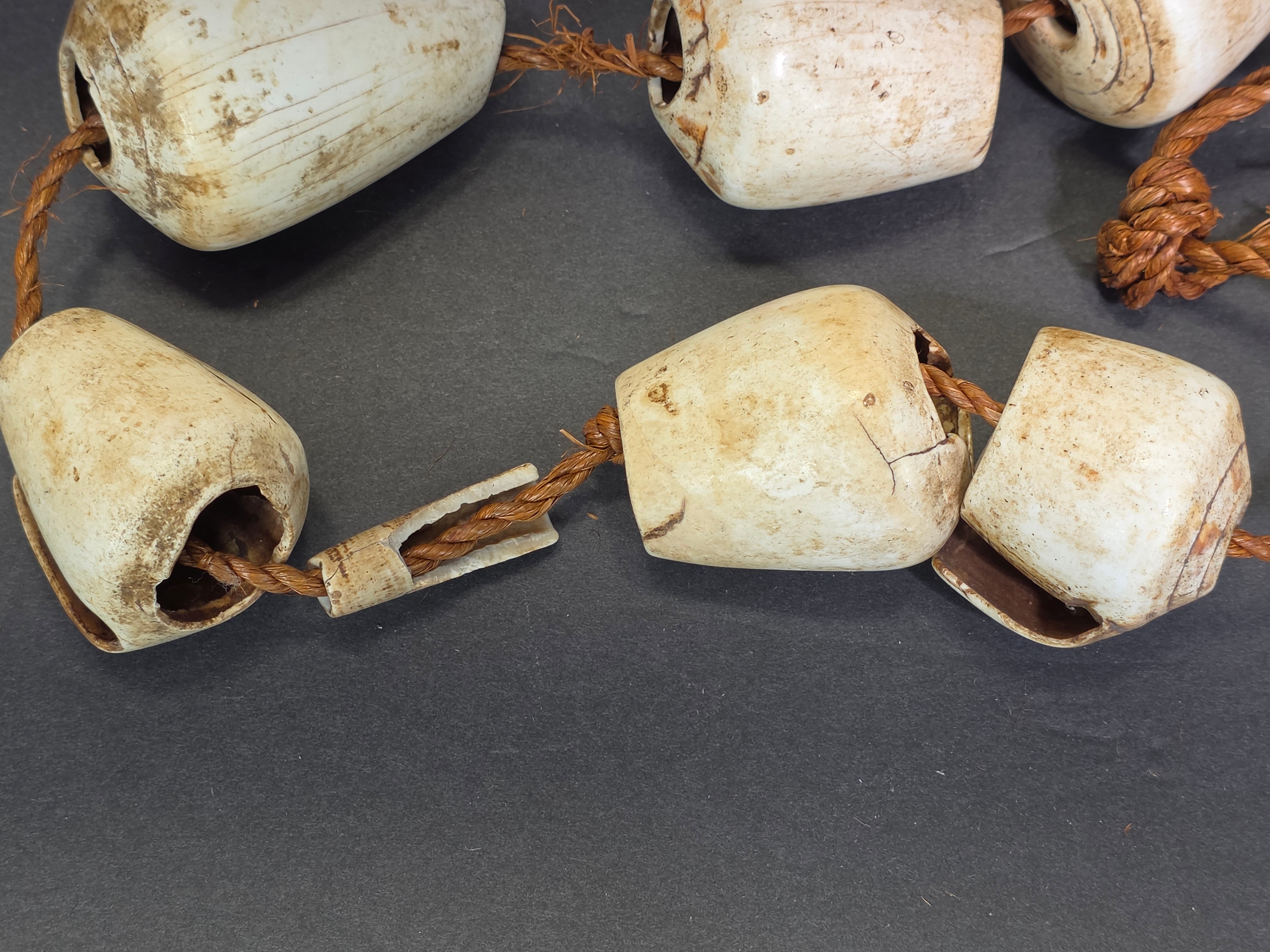 Antique 1880s-1920s Papua New Guinea Shell Currency Necklace Lot Kula Conus Naga