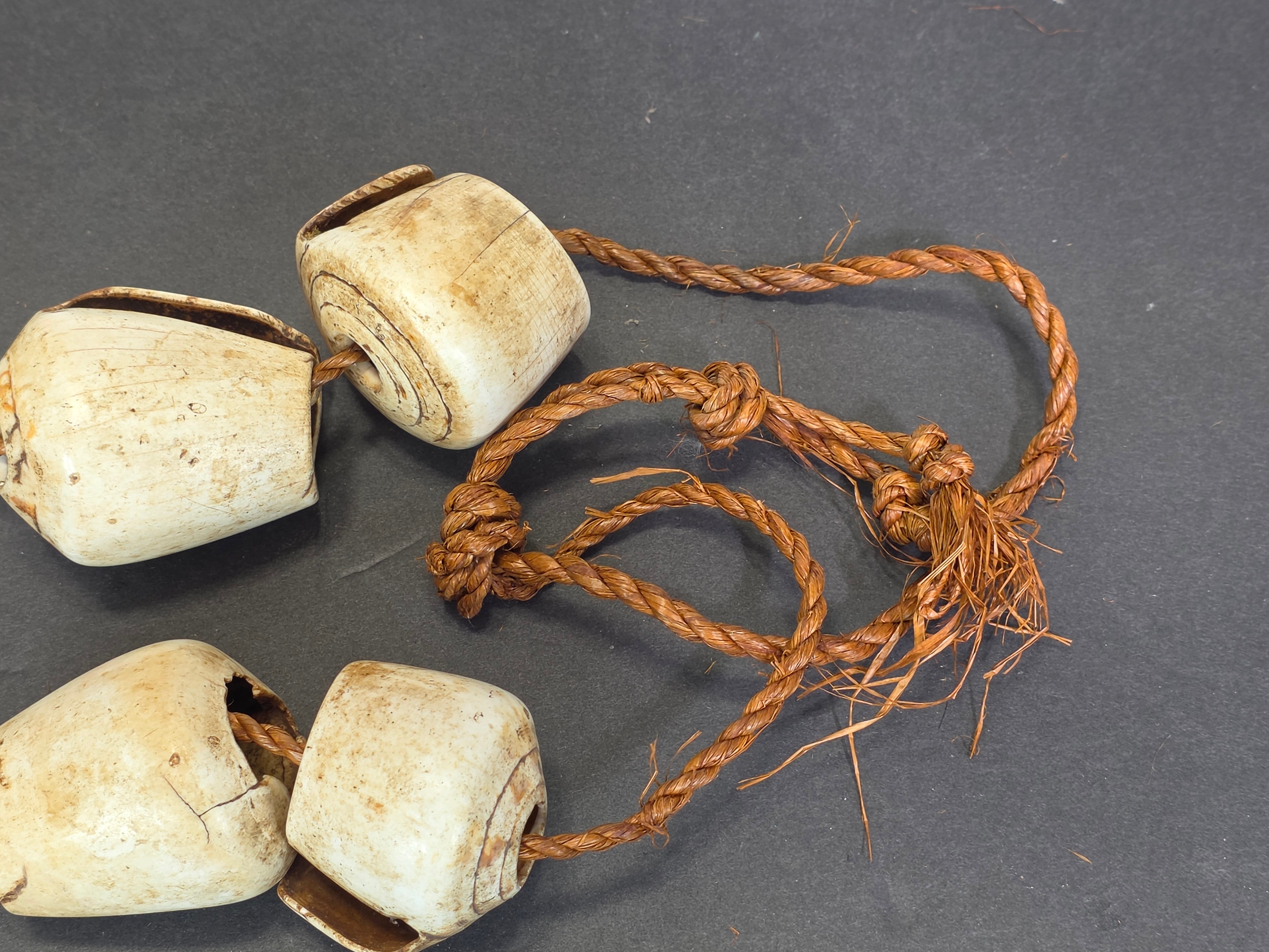 Antique 1880s-1920s Papua New Guinea Shell Currency Necklace Lot Kula Conus Naga