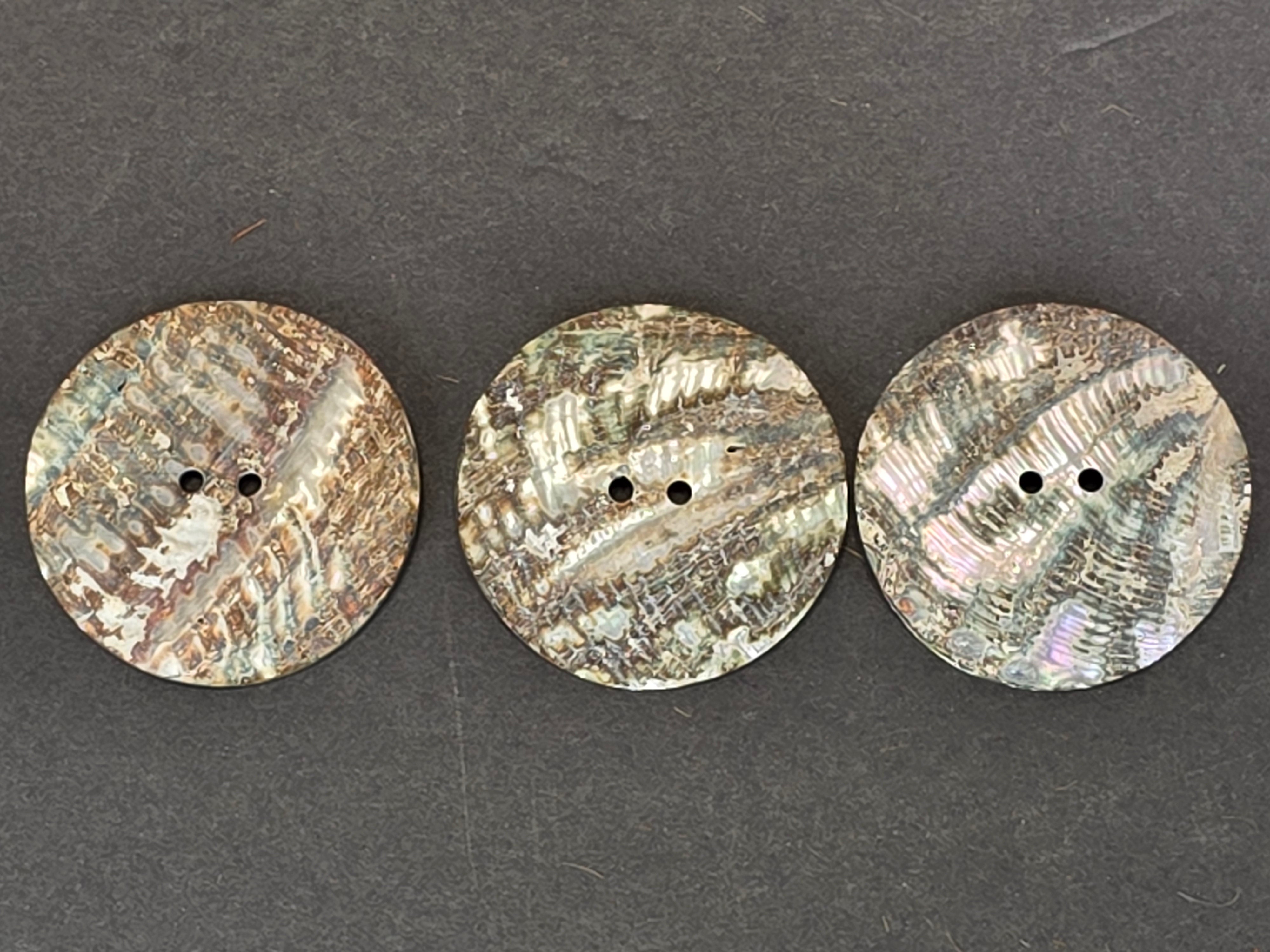 Vintage Abalone Shell Buttons Mother of Pearl Cabochon Loose Lot of 6 Craft