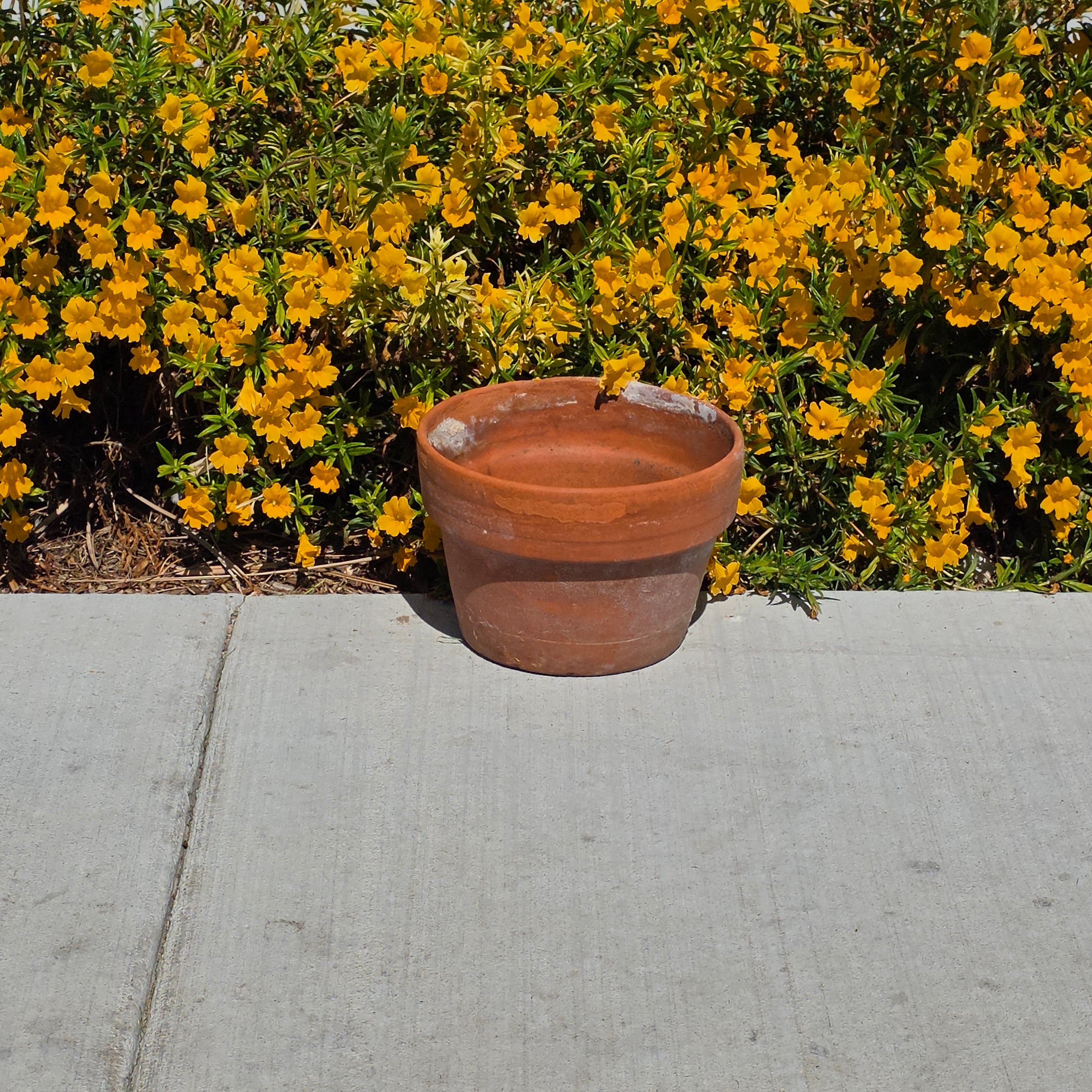 Vintage Terracotta Planter Clay Pot Standard Rim Aged Patina Garden Rustic 9.75"