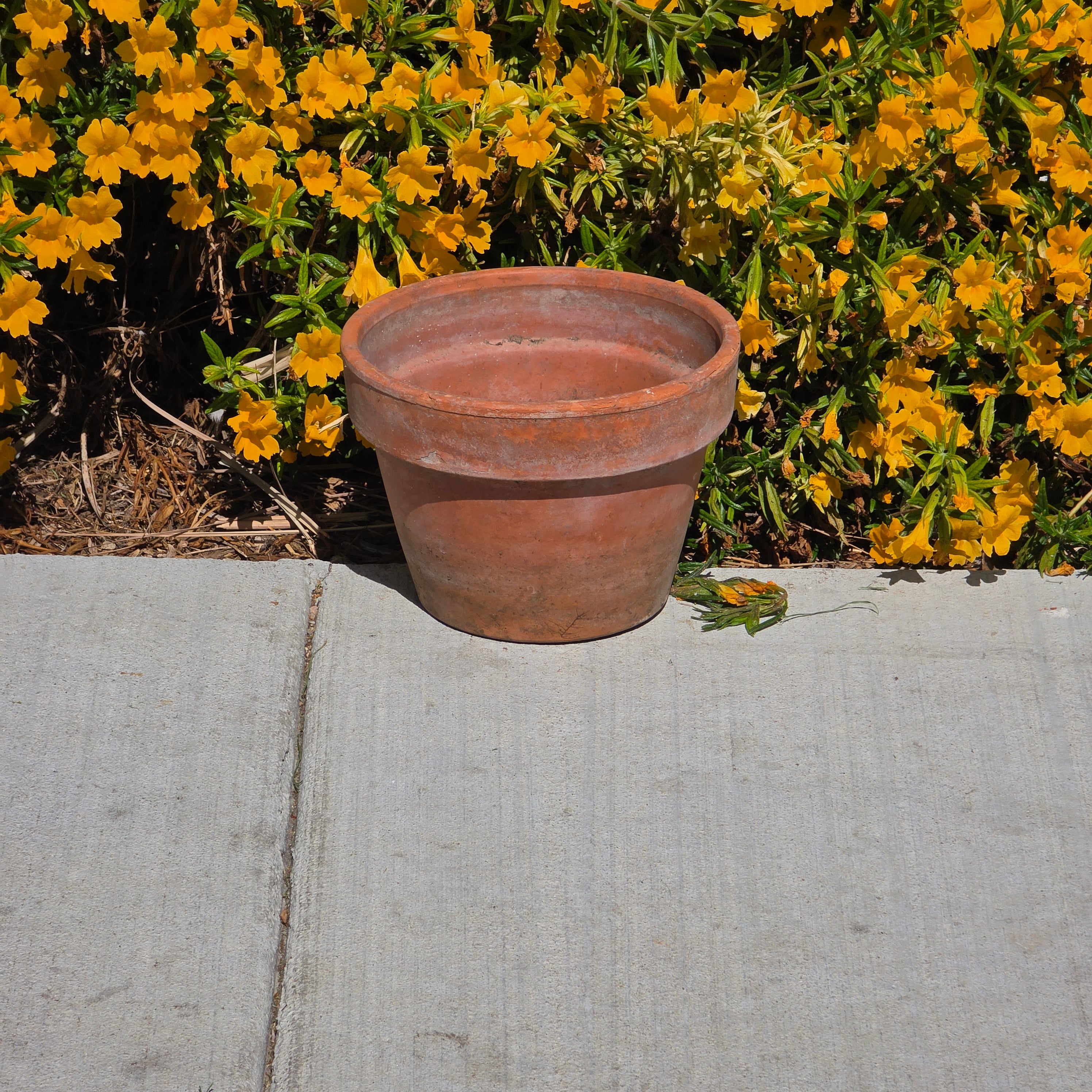 Vintage Vaserie Trevigiane Terracotta Planter 8.5" Italy Clay Pot Garden Patina