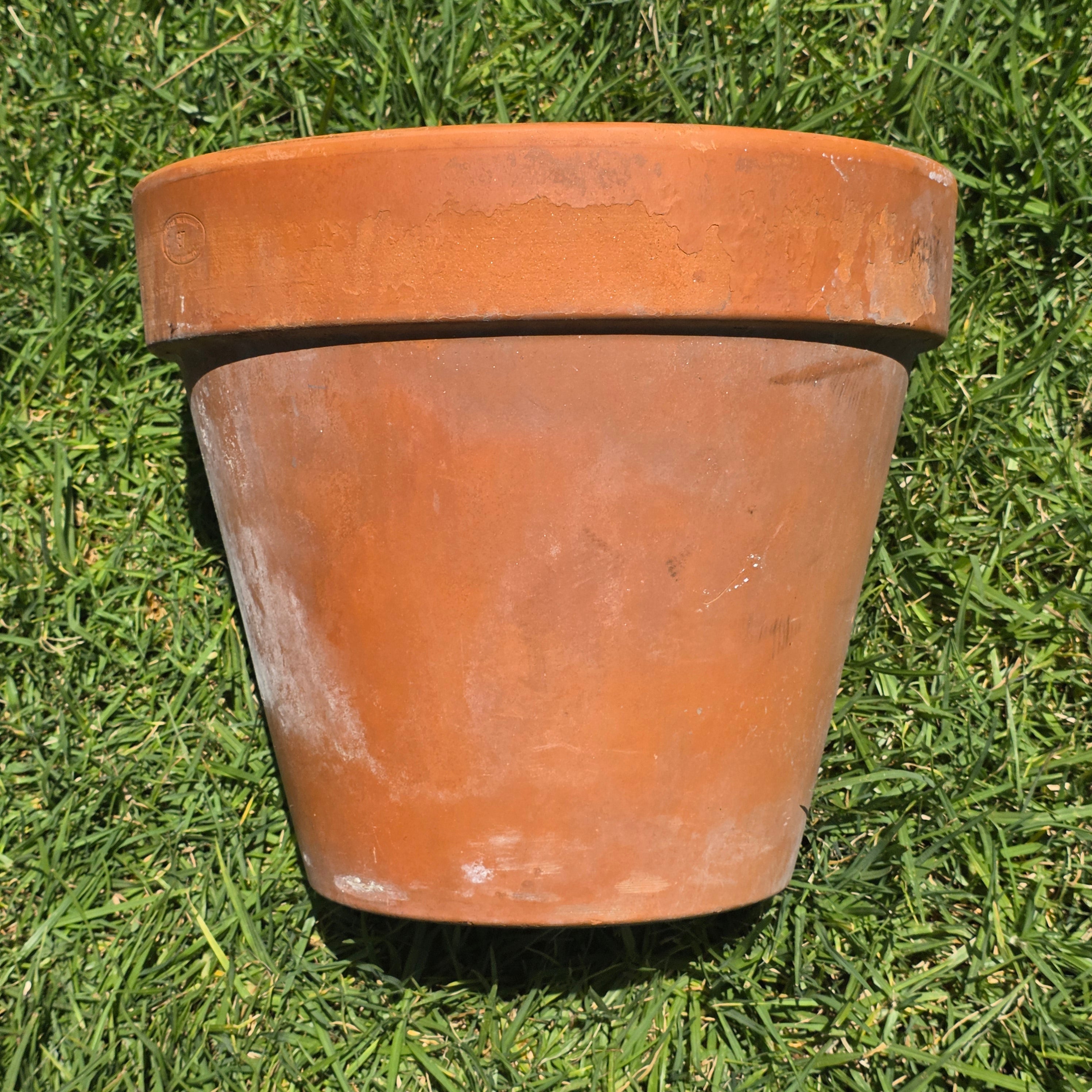 Vintage Italian Vaserie Trevigiane Banded Terracotta Planter Pot 14.5" Garden