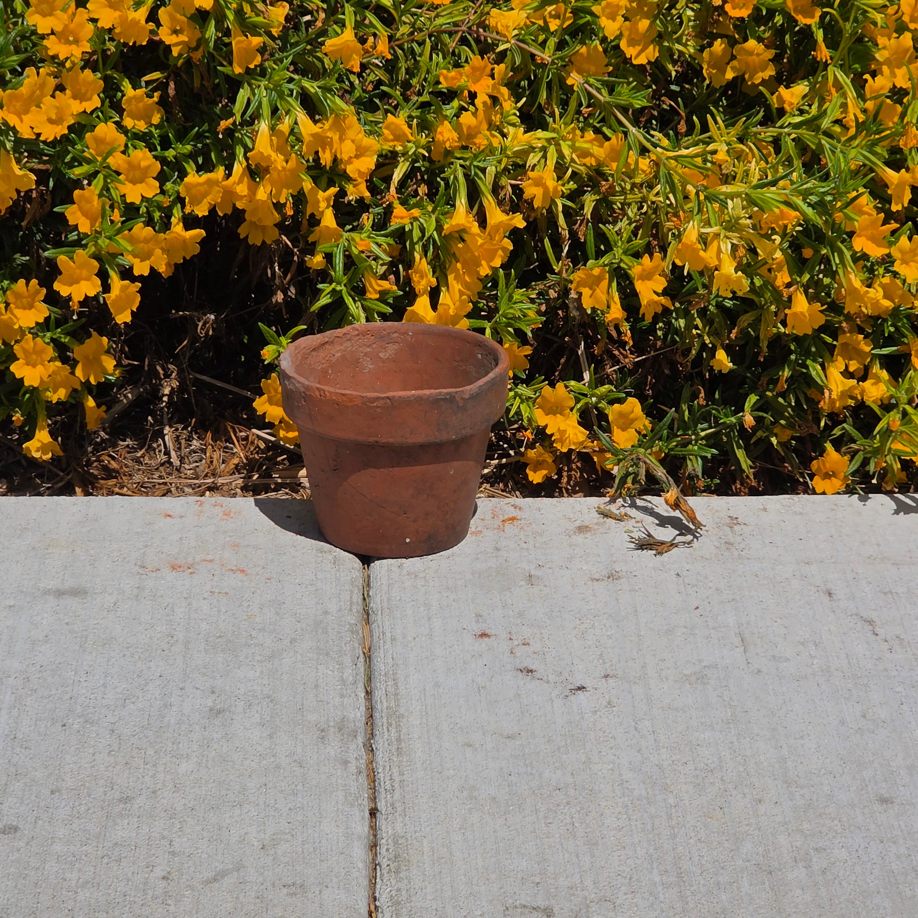 Vintage Terracotta Pot Planter Small 5.5" Weathered Rustic Garden Clay