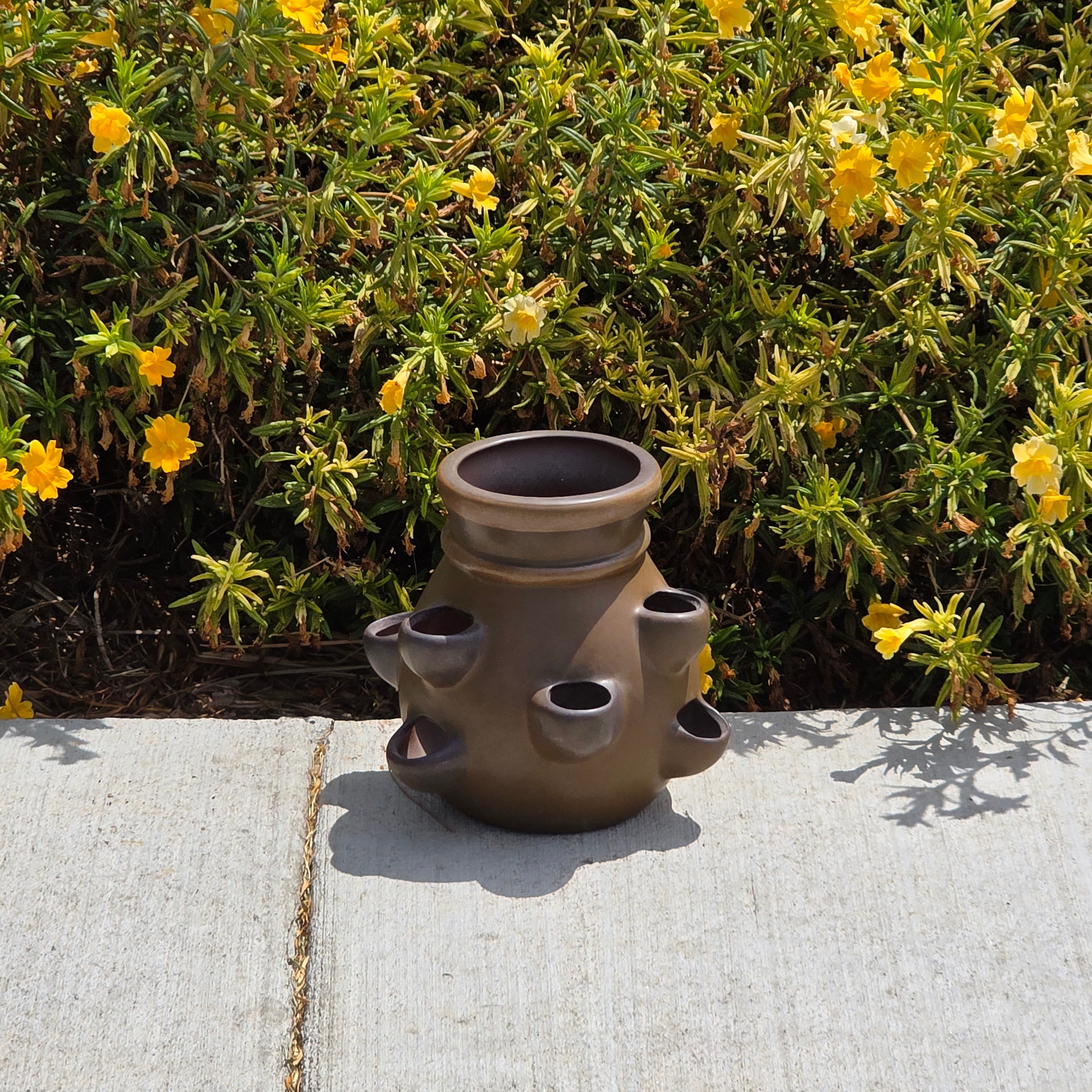 Vintage SDW Stoneware Designs West California Strawberry Pot Herb Planter 7.5"