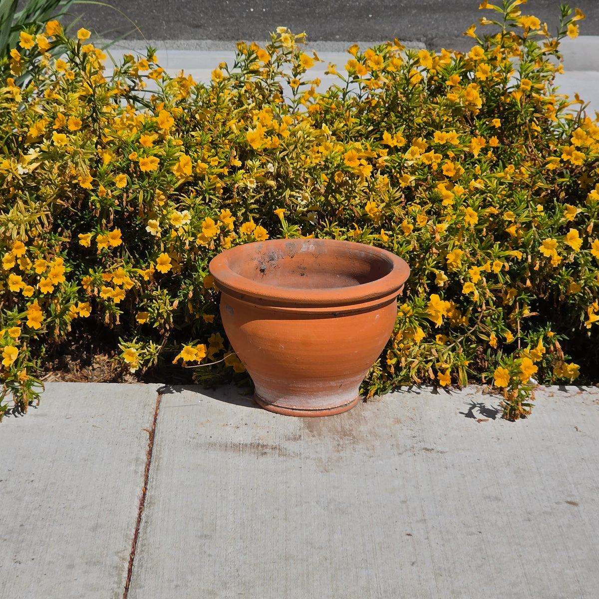 Hold/Vintage Northcote Pottery Terracotta Planter Pot Australia 1897 Clay Garden 12"