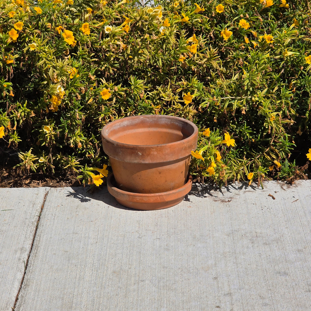 Vtg EV 21 Italian Terracotta Planter Flower Pot Deroma Saucer Set Aged Patina