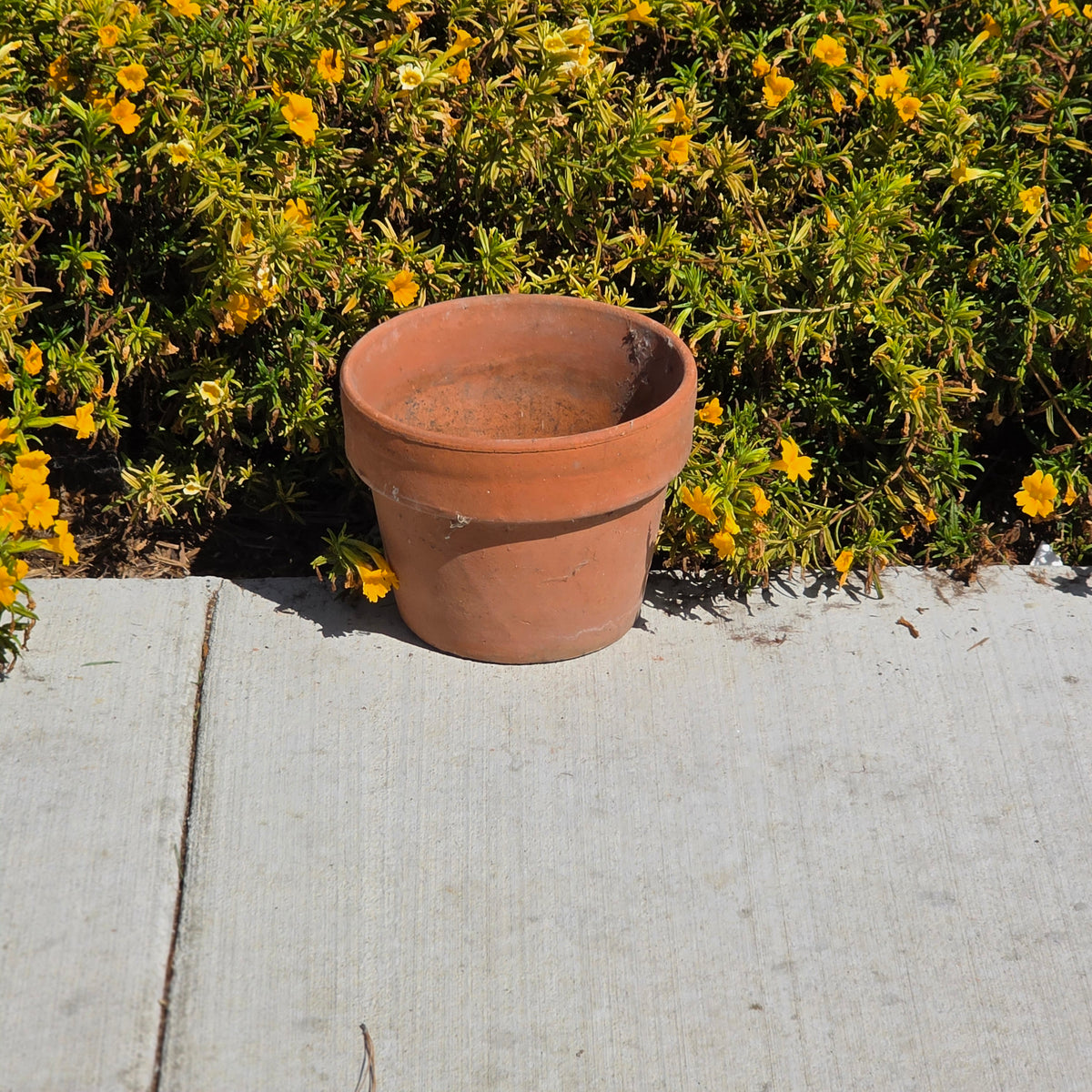 Vintage Terracotta Plant Pot Heavy 10" Clay Planter Weathered Garden Flower Pot