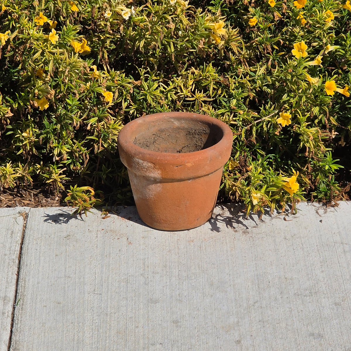Vintage Terracotta Planter Thick Rim Italian Style Clay Flower Pot Heavy 8" Aged