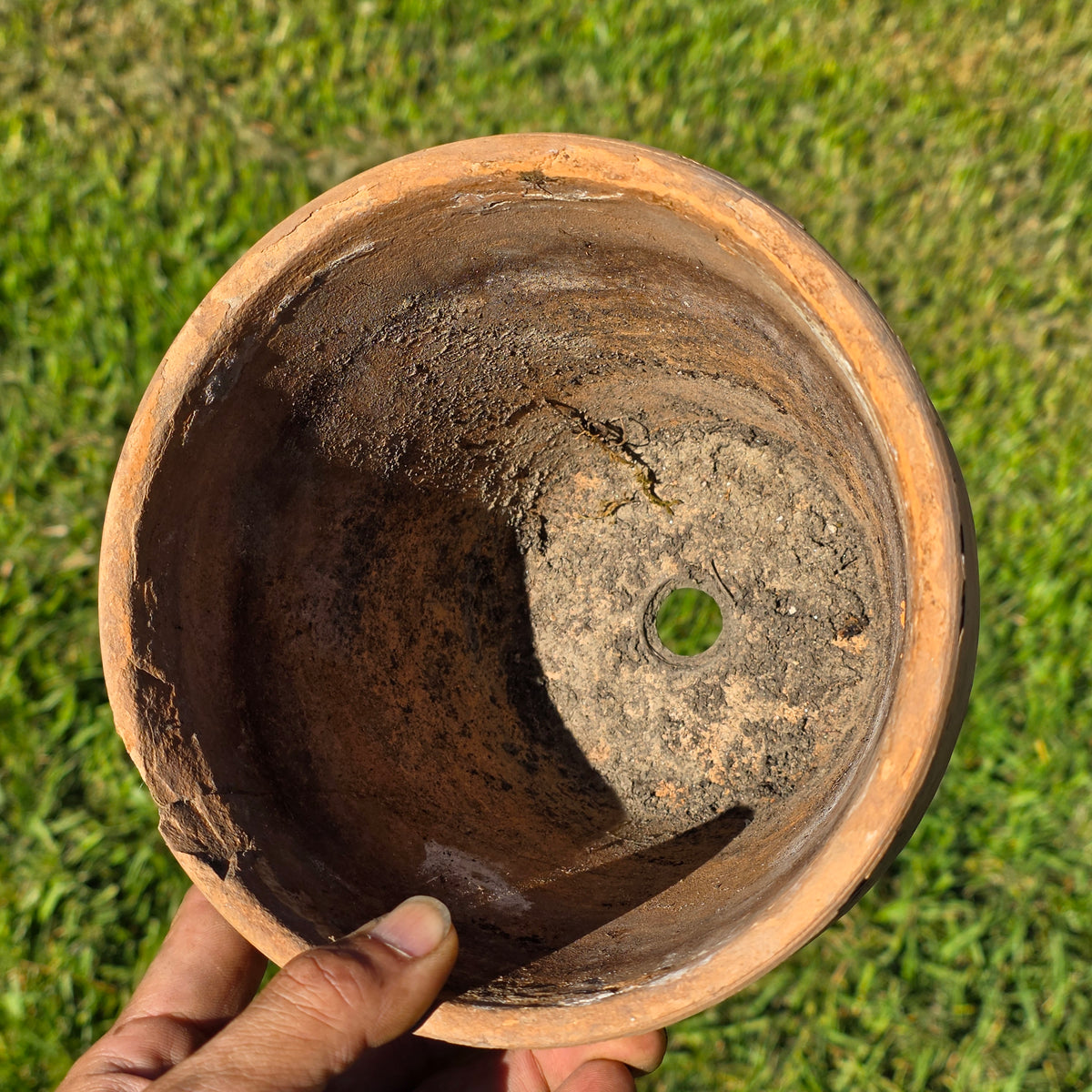 Antique Catalina Island Pottery Terracotta Flower Pot 6" Toyon Red Clay CA 1920s