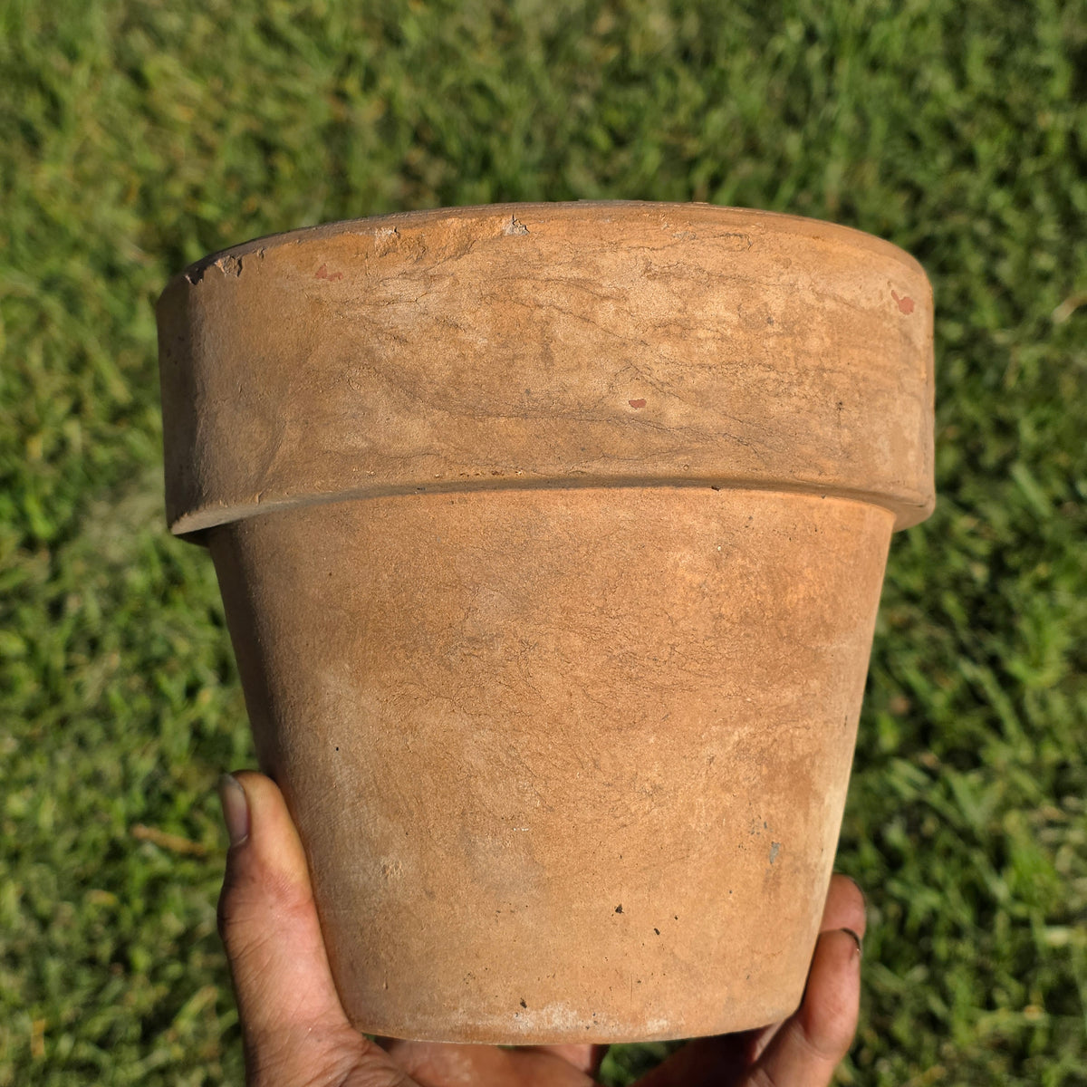 Antique Catalina Island Pottery Terracotta Flower Pot 6" Toyon Red Clay CA 1920s