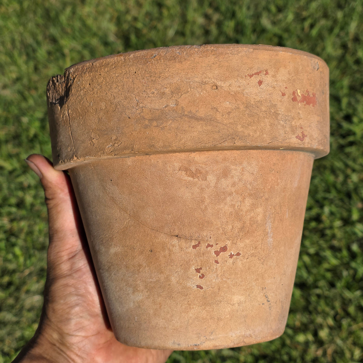 Antique Catalina Island Pottery Terracotta Flower Pot 6" Toyon Red Clay CA 1920s