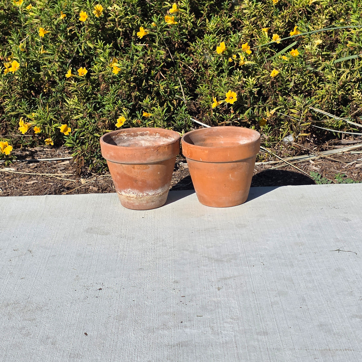 Vintage Euganea Vasi Italy Terracotta Planter Pot Set EV 16 Aged Clay Flowerpot
