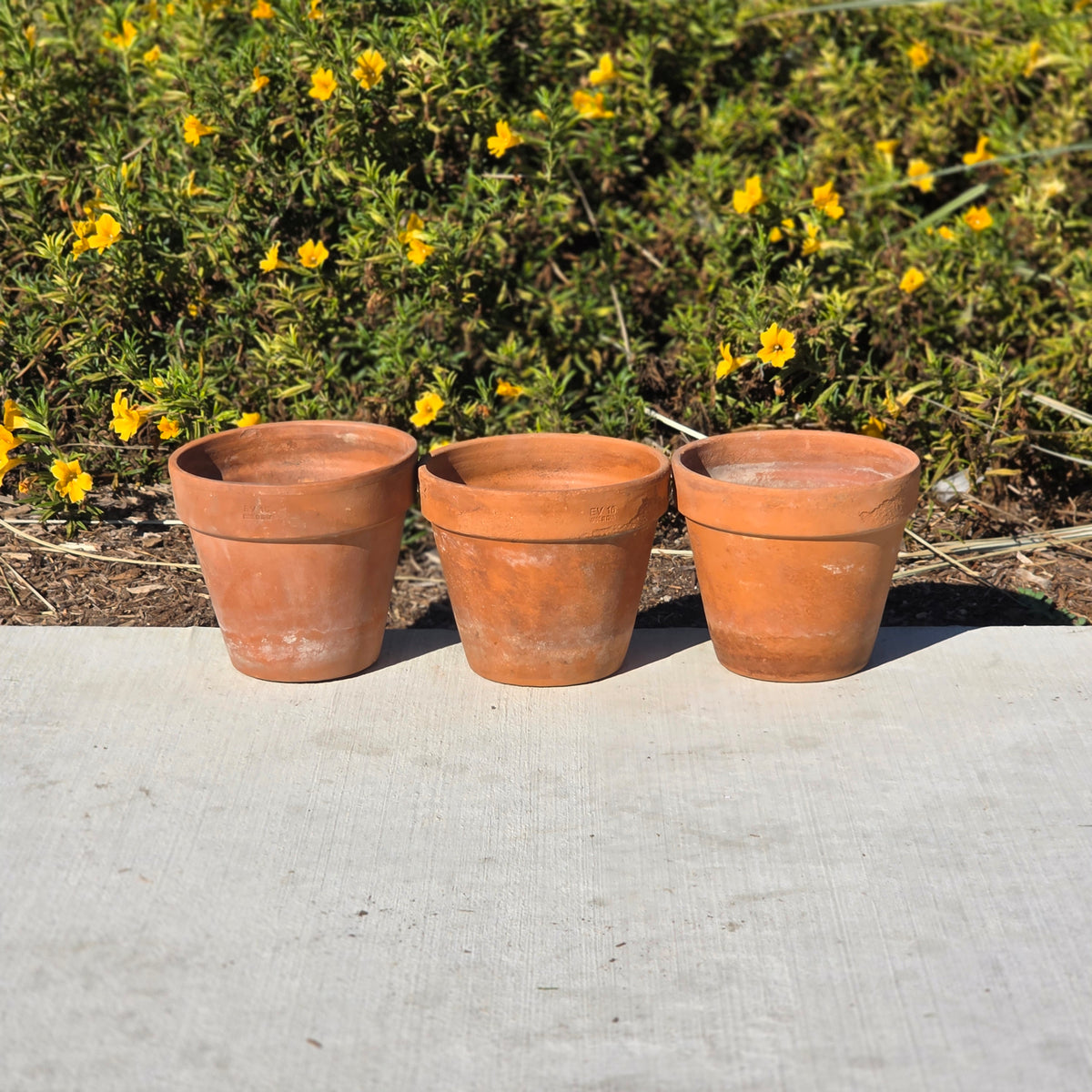3 Vtg Euganea Vasi Italy Terracotta Planter Pot Lot EV 16 Aged Clay Flowerpot