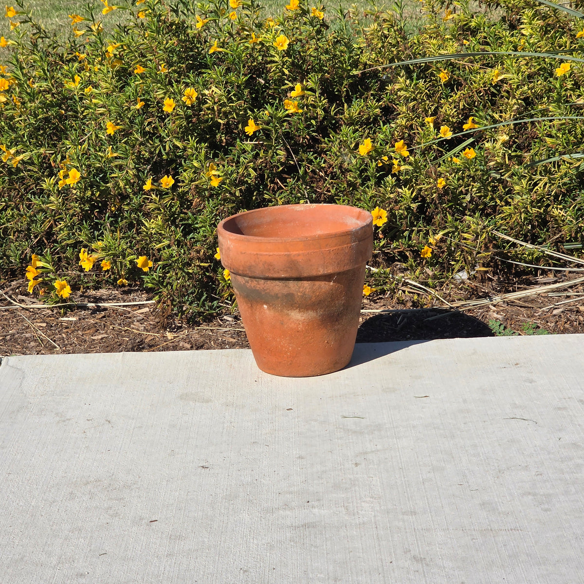 Vintage Terracotta Plant Pot 9" Weathered Clay Planter Garden Flower Aged Heavy