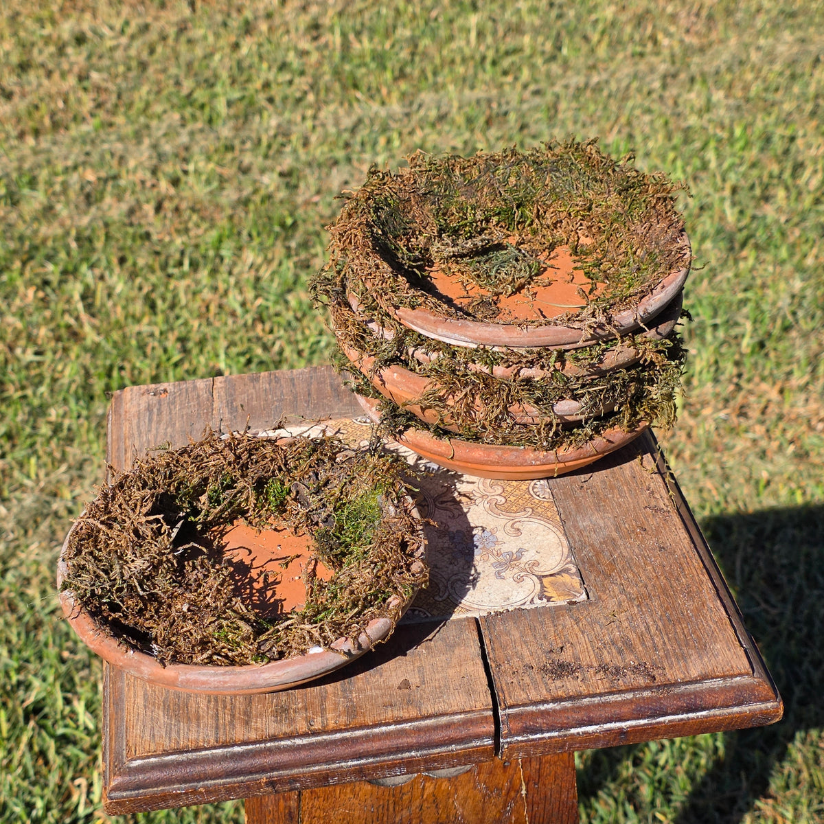 Set of 5 DeRoma Terracotta Saucer 6.25" Italy Moss Clay Planter Base Aged Vtg