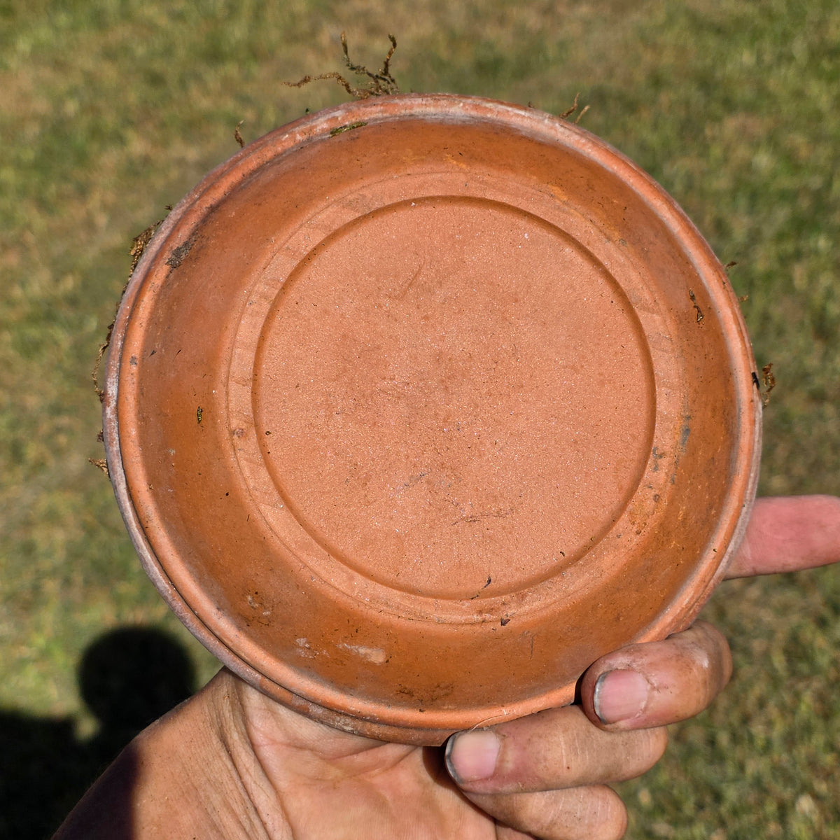 Set of 5 DeRoma Terracotta Saucer 6.25" Italy Moss Clay Planter Base Aged Vtg