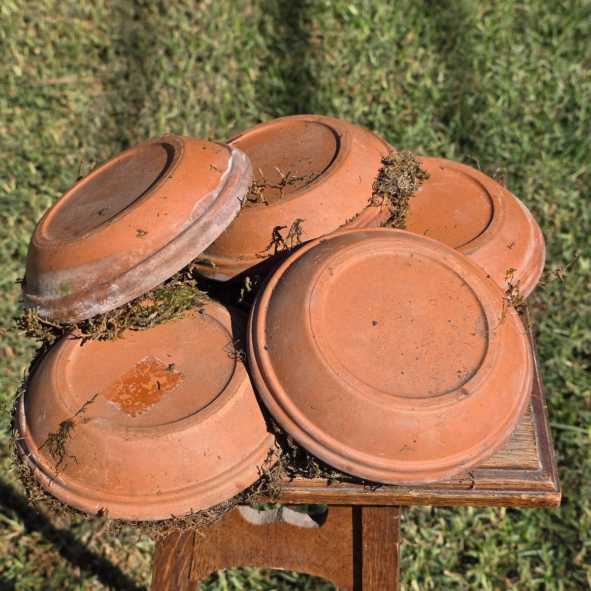 Set of 5 DeRoma Terracotta Saucer 6.25" Italy Moss Clay Planter Base Aged Vtg