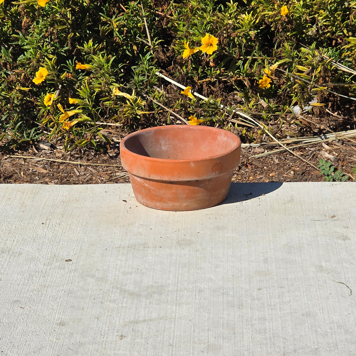 Vtg Terracotta Shallow Bowl Pot 6.5" Clay Planter Succulent Cactus Garden Aged